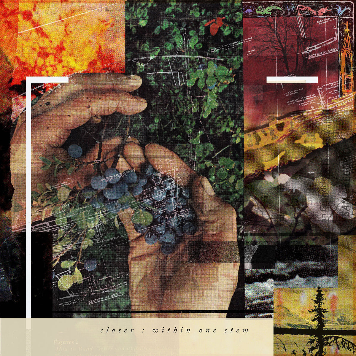 Closer – Within One Stem vinyl record cover