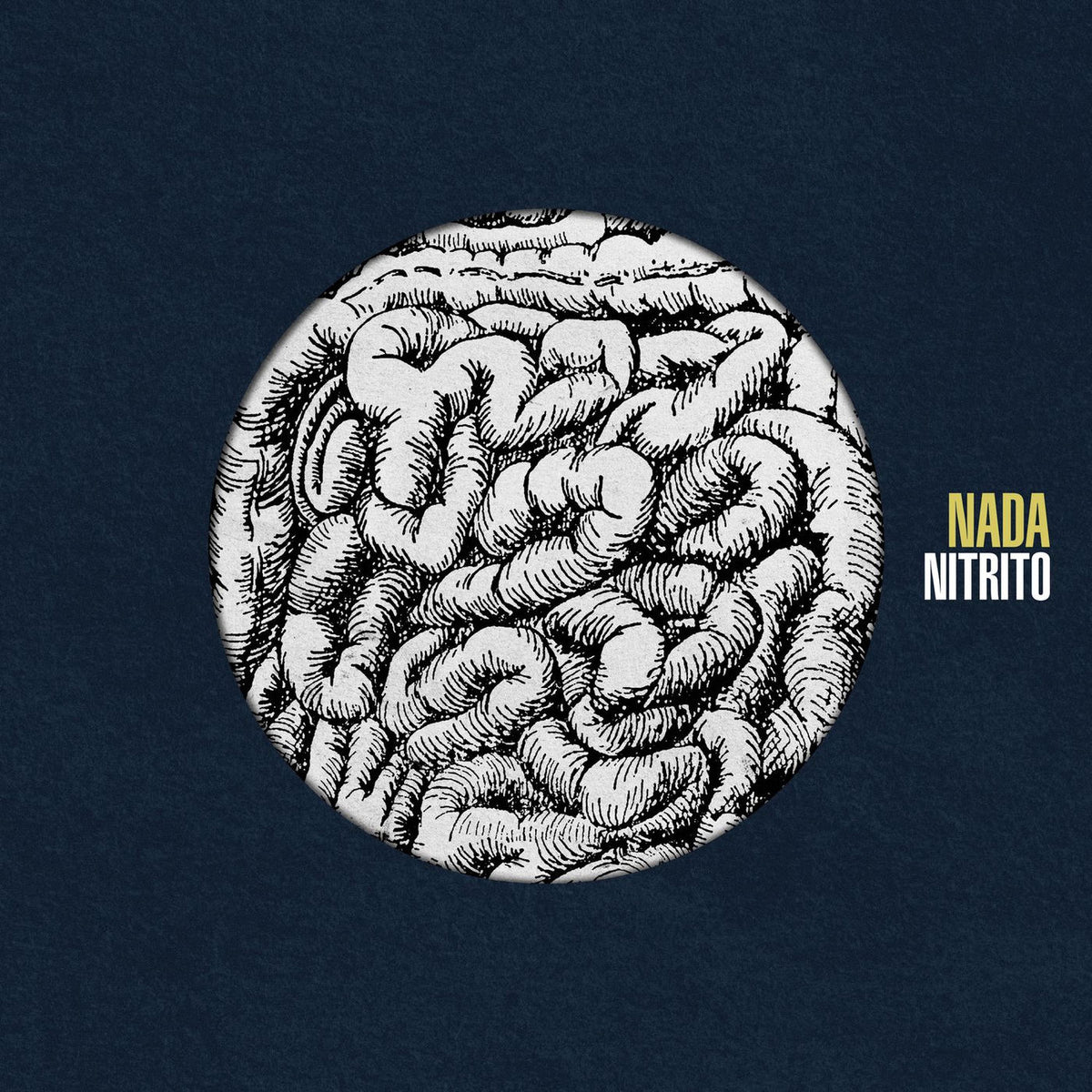 Nada – Nitrito vinyl record cover