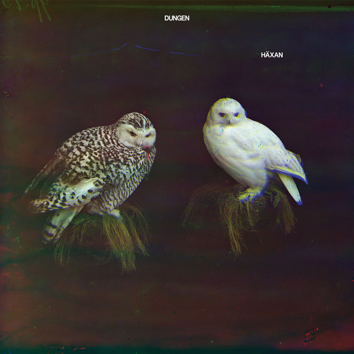 Dungen – Häxan vinyl cover