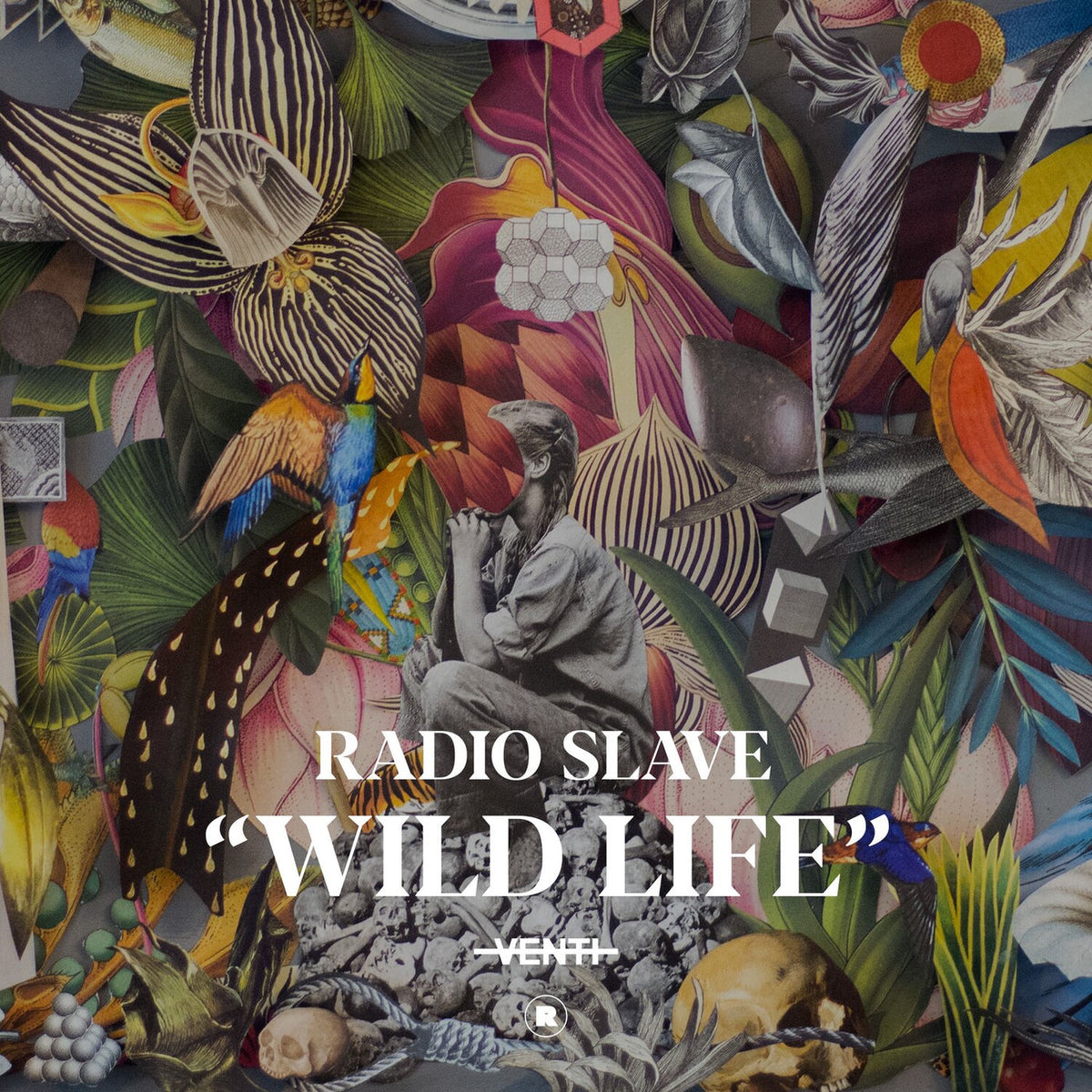 Radio Slave – Wild Life vinyl record cover