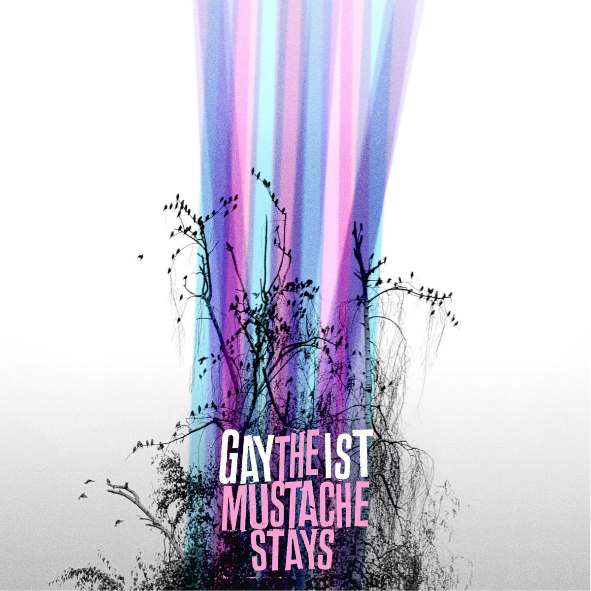 Gaytheist – Mustache Stays vinyl record cover