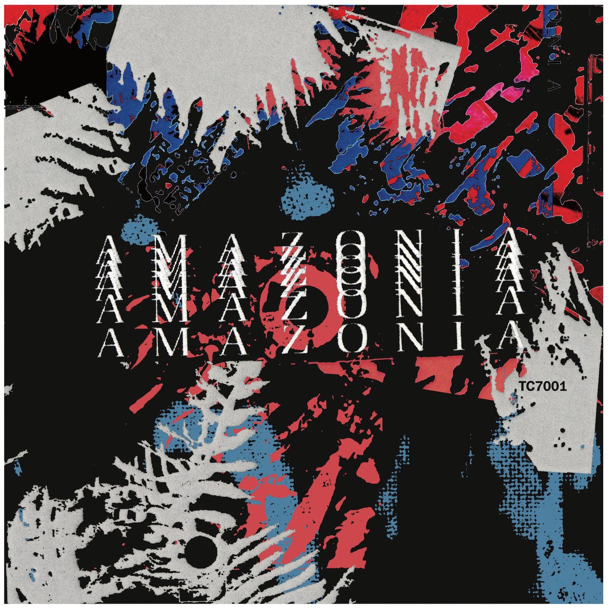 Vinicio Adames – Amazonia vinyl cover