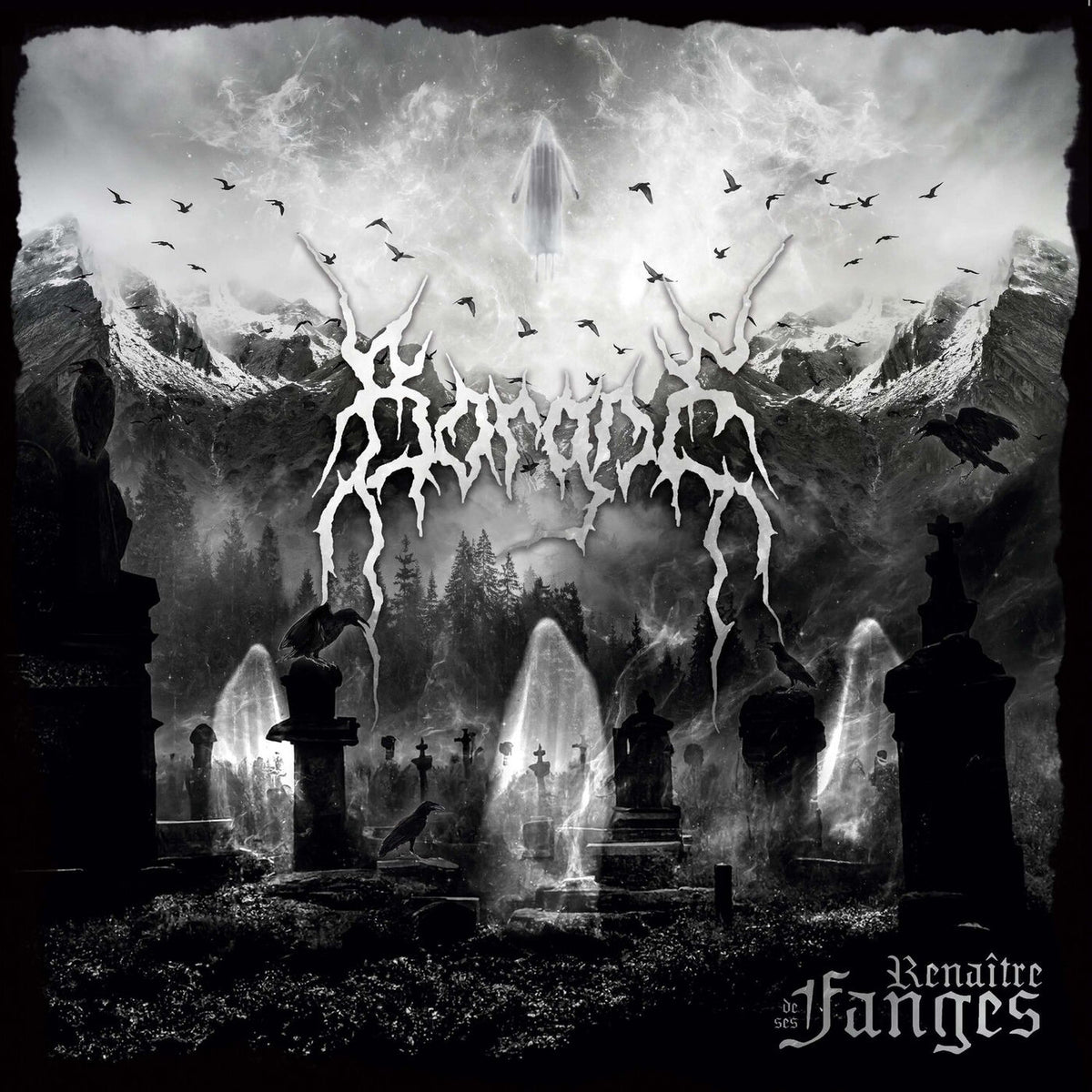 Borgne – Renaître De Ses Fanges vinyl record cover