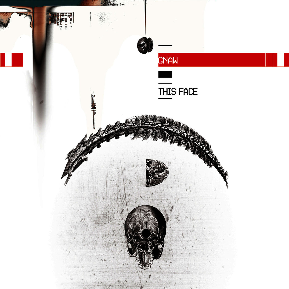GNAW – This Face vinyl record cover
