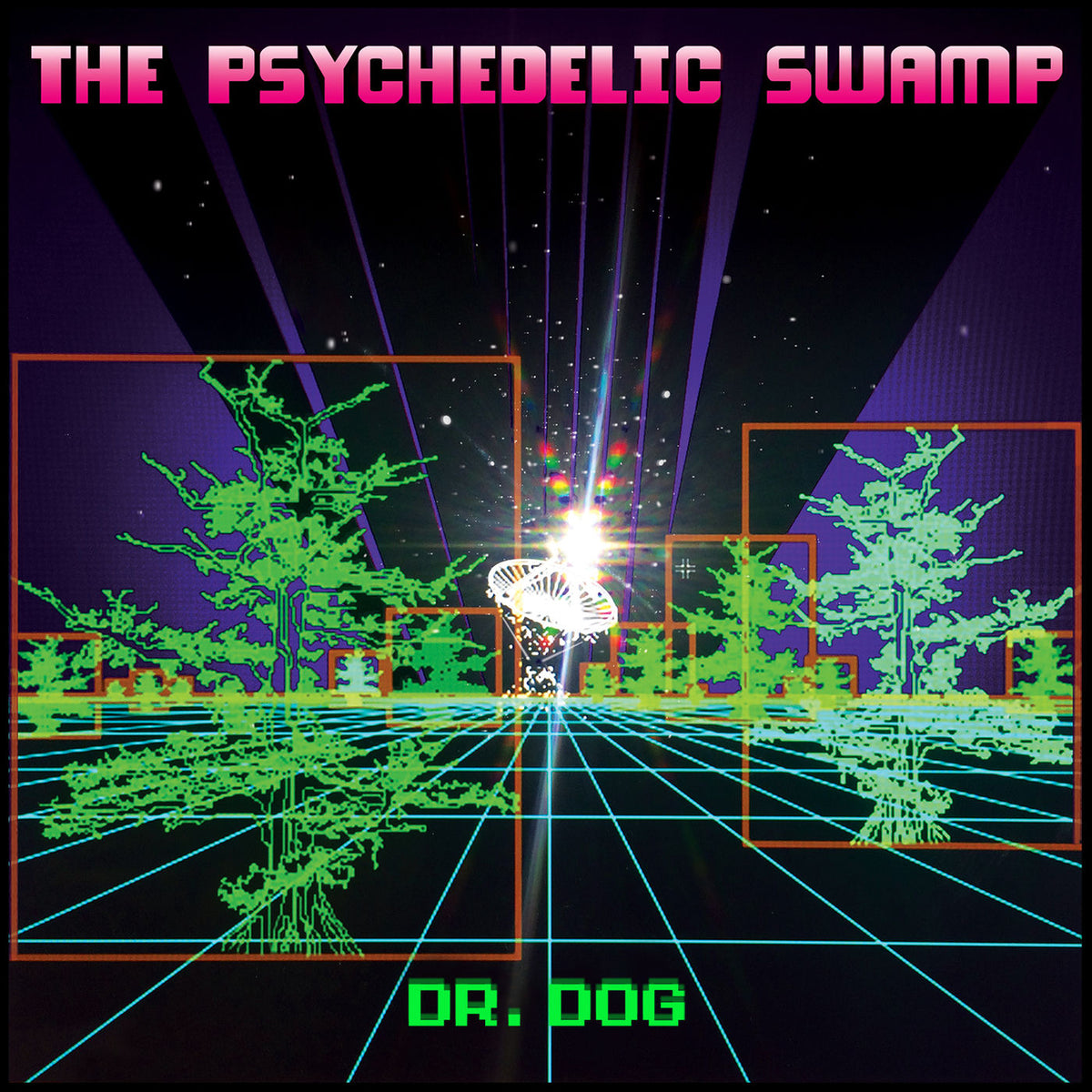 Dr. Dog – The Psychedelic Swamp vinyl cover