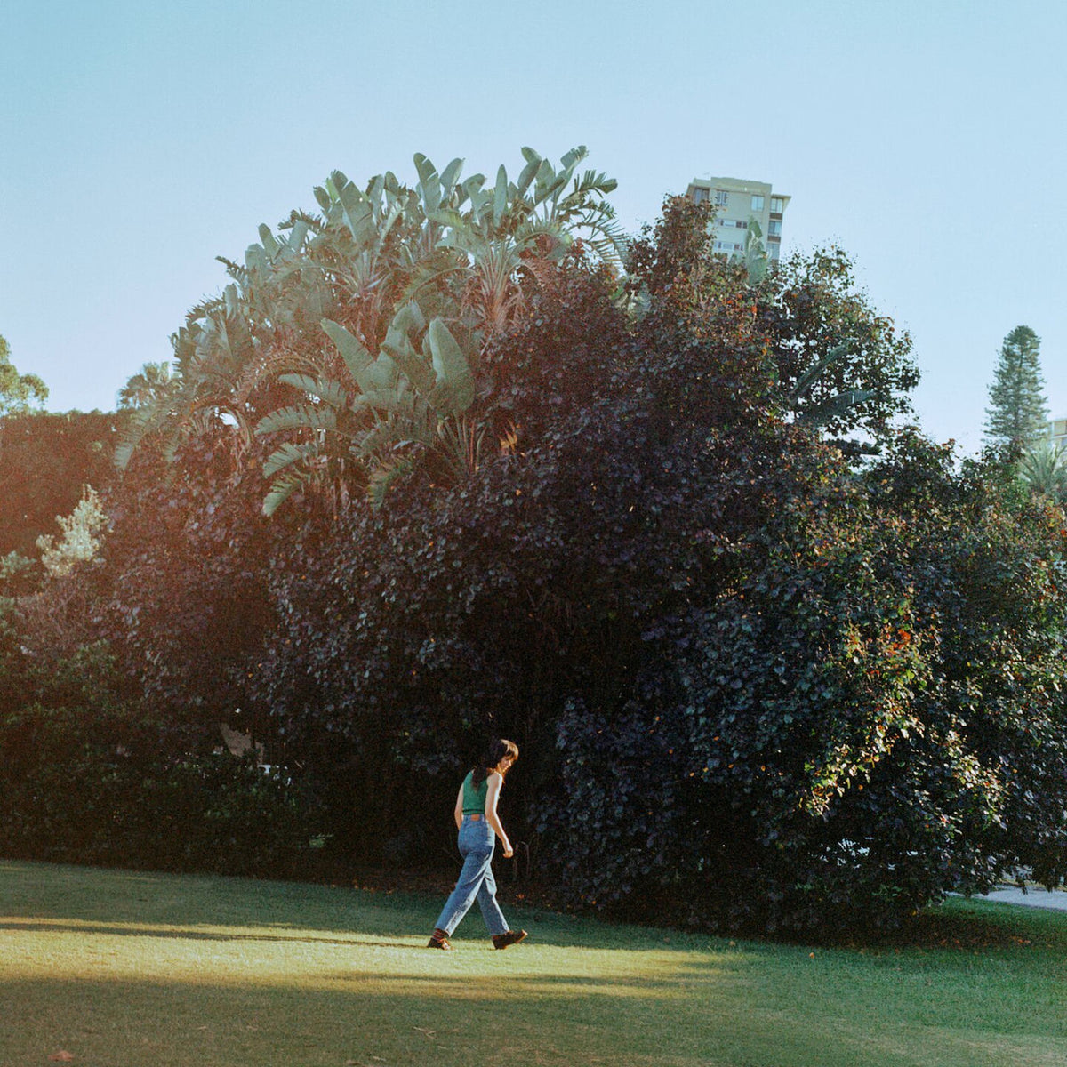Georgia Mulligan – Nothing Wrong vinyl record cover