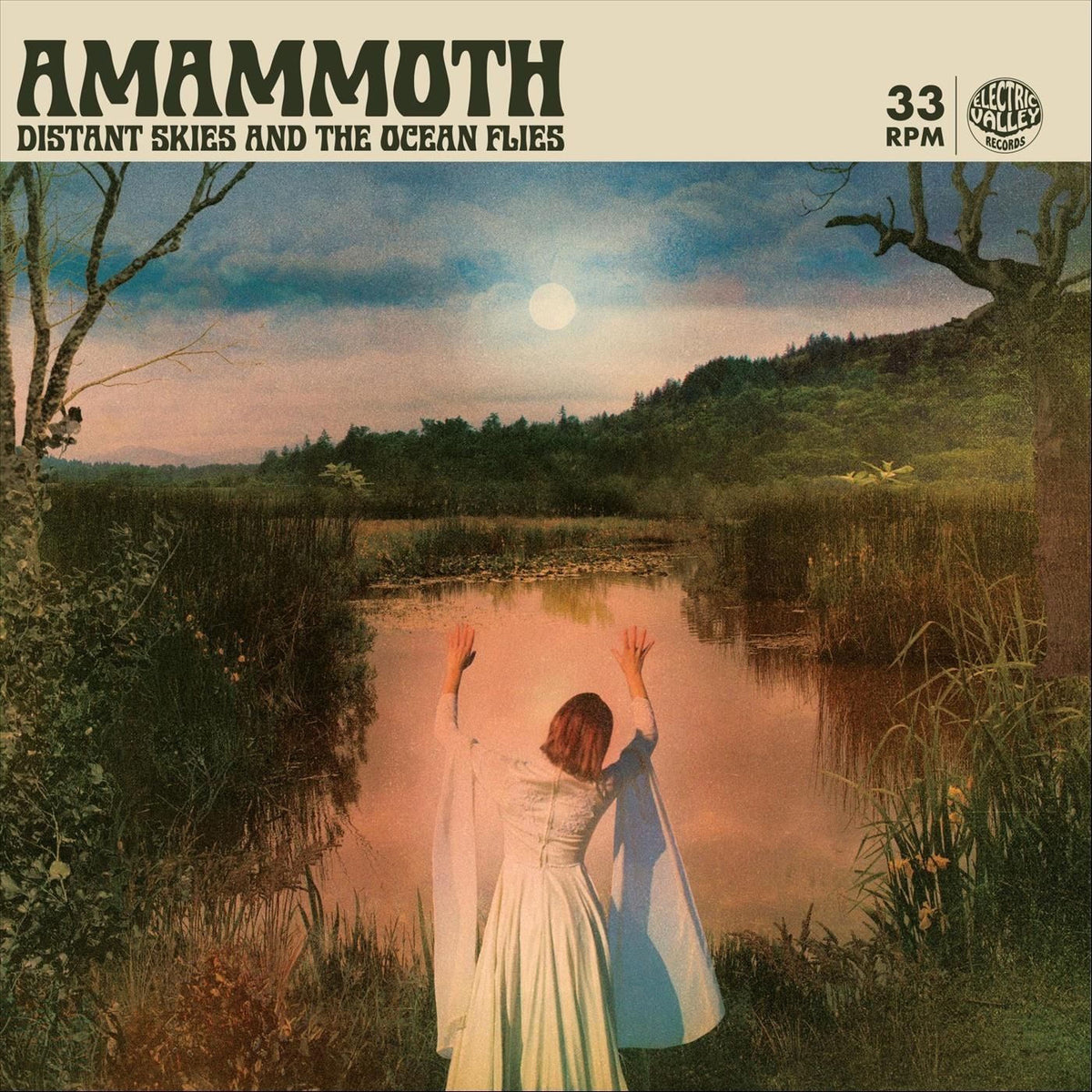 Amammoth – Distant Skies And The Ocean Flies vinyl record cover