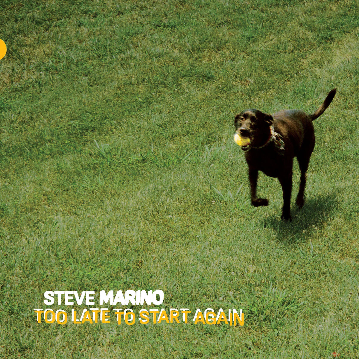 Steve Marino – Too Late to Start Again vinyl record cover