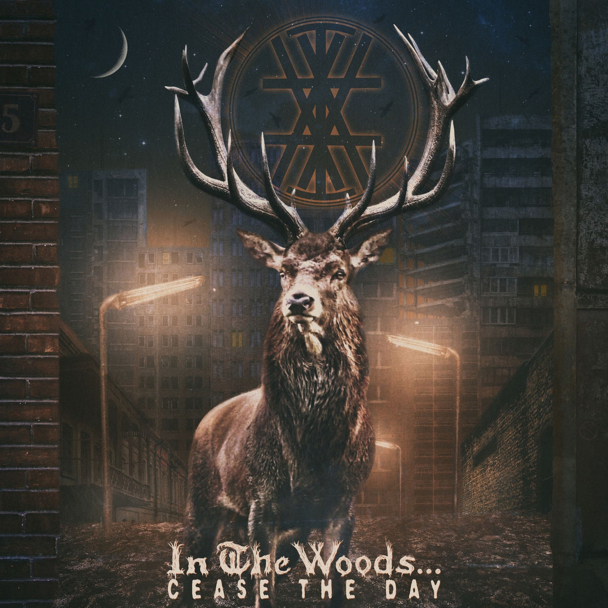 In The Woods... – Cease The Day vinyl record cover