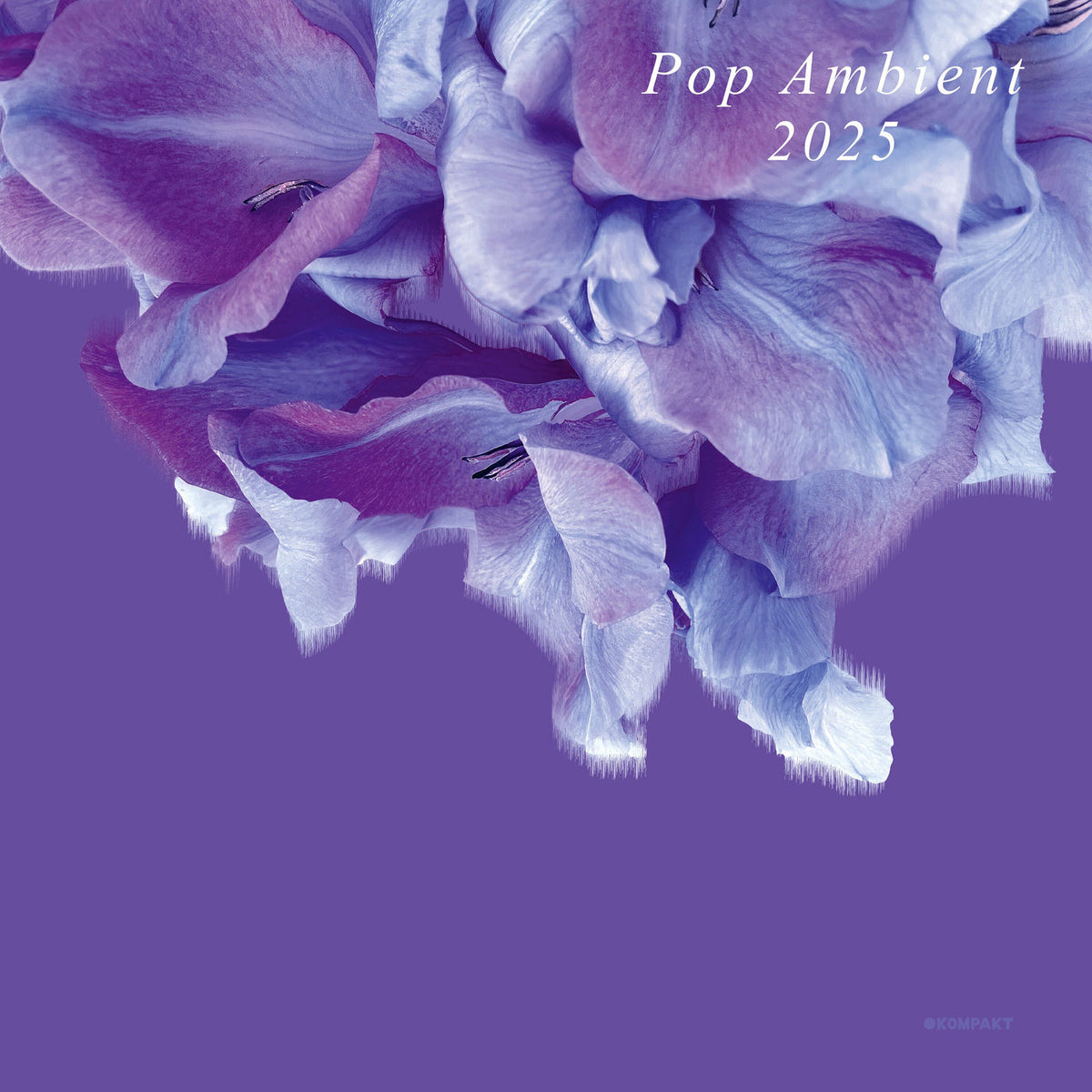 Various Artists – Pop Ambient 2025 vinyl record cover