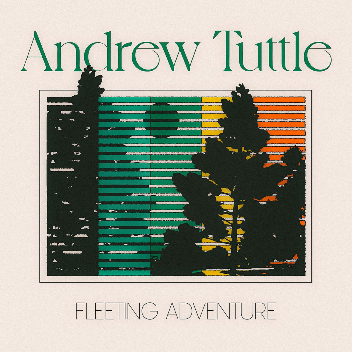 Tuttle, Andrew – Fleeting Adventure vinyl record cover