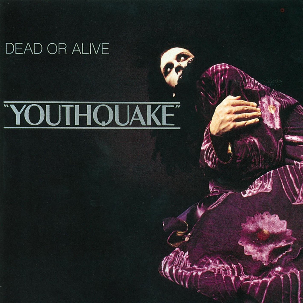 Dead Or Alive – Youthquake vinyl record cover