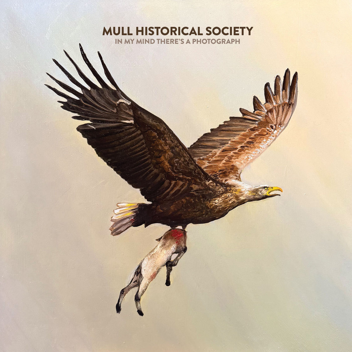 Mull Historical Society – In My Mind There's a Photograph vinyl record cover