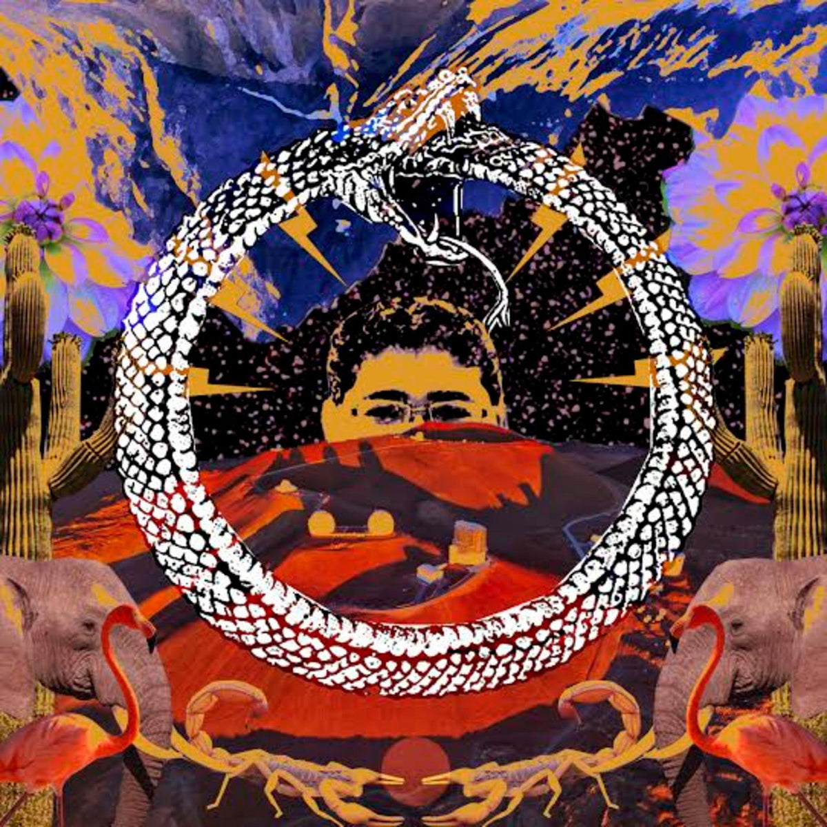 Stone House on Fire – Neverending Cycle vinyl record cover