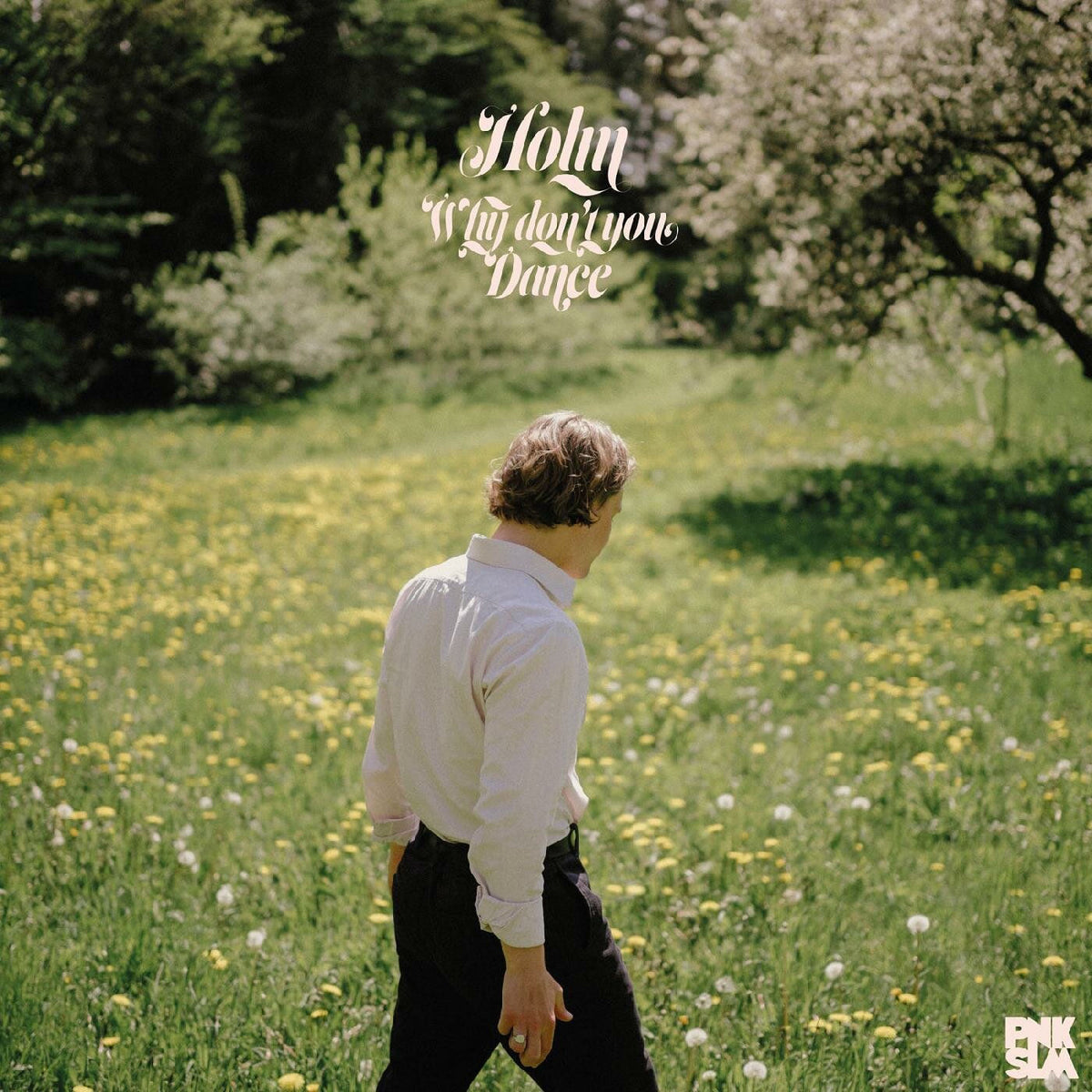 Holm – Why Don'T You Dance vinyl record cover