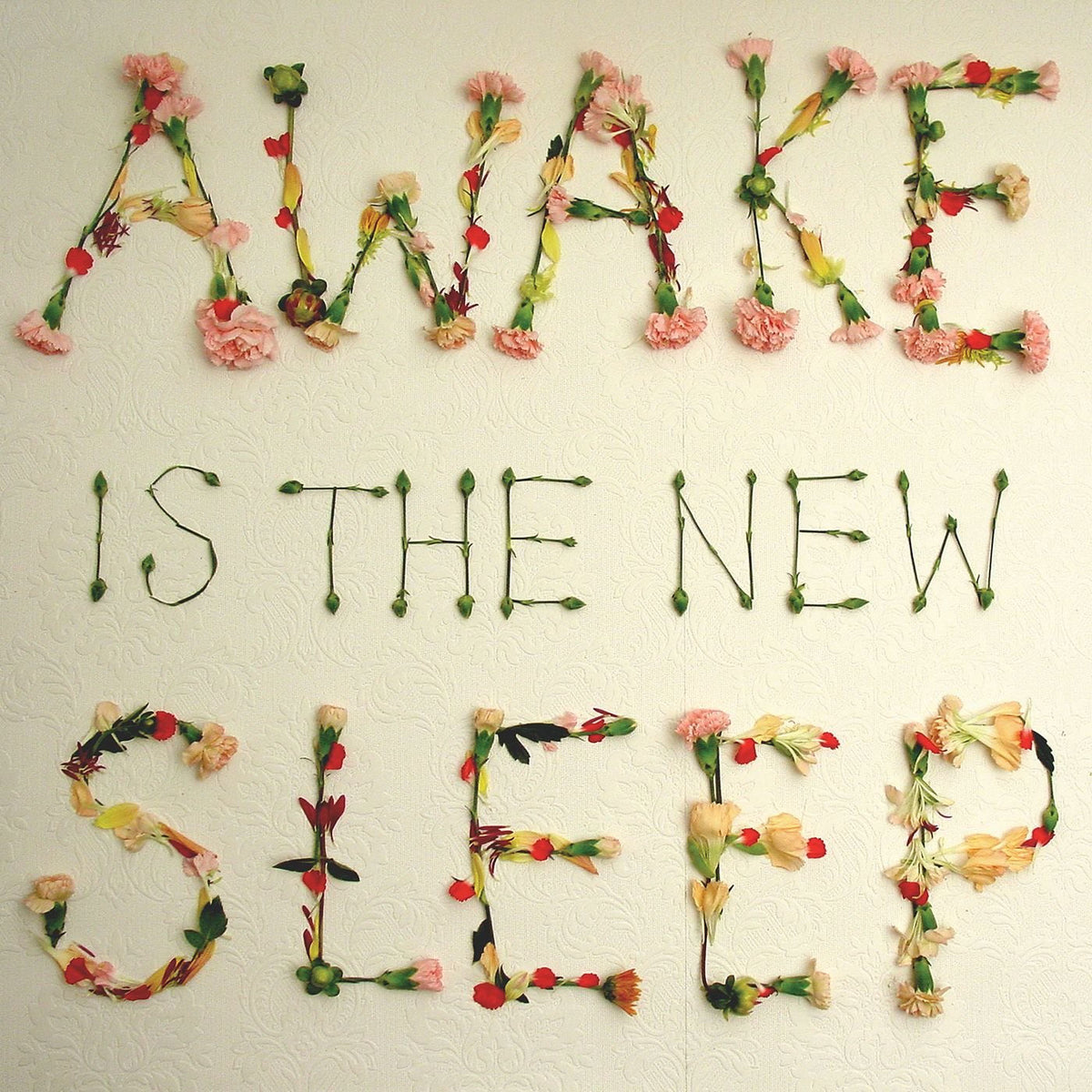 Ben Lee – Awake Is the New Sleep — record image 1