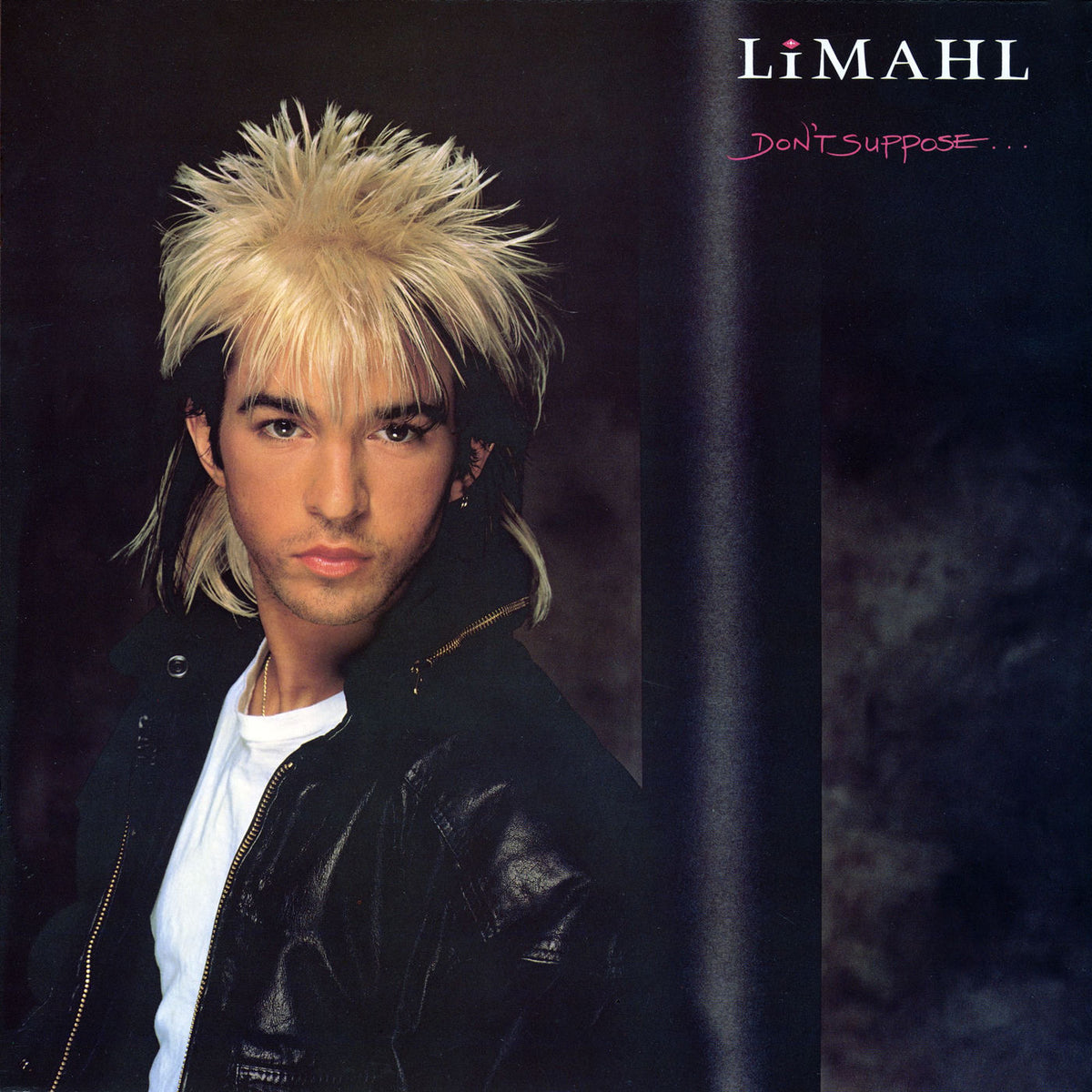 Limahl – Don't Suppose vinyl record cover