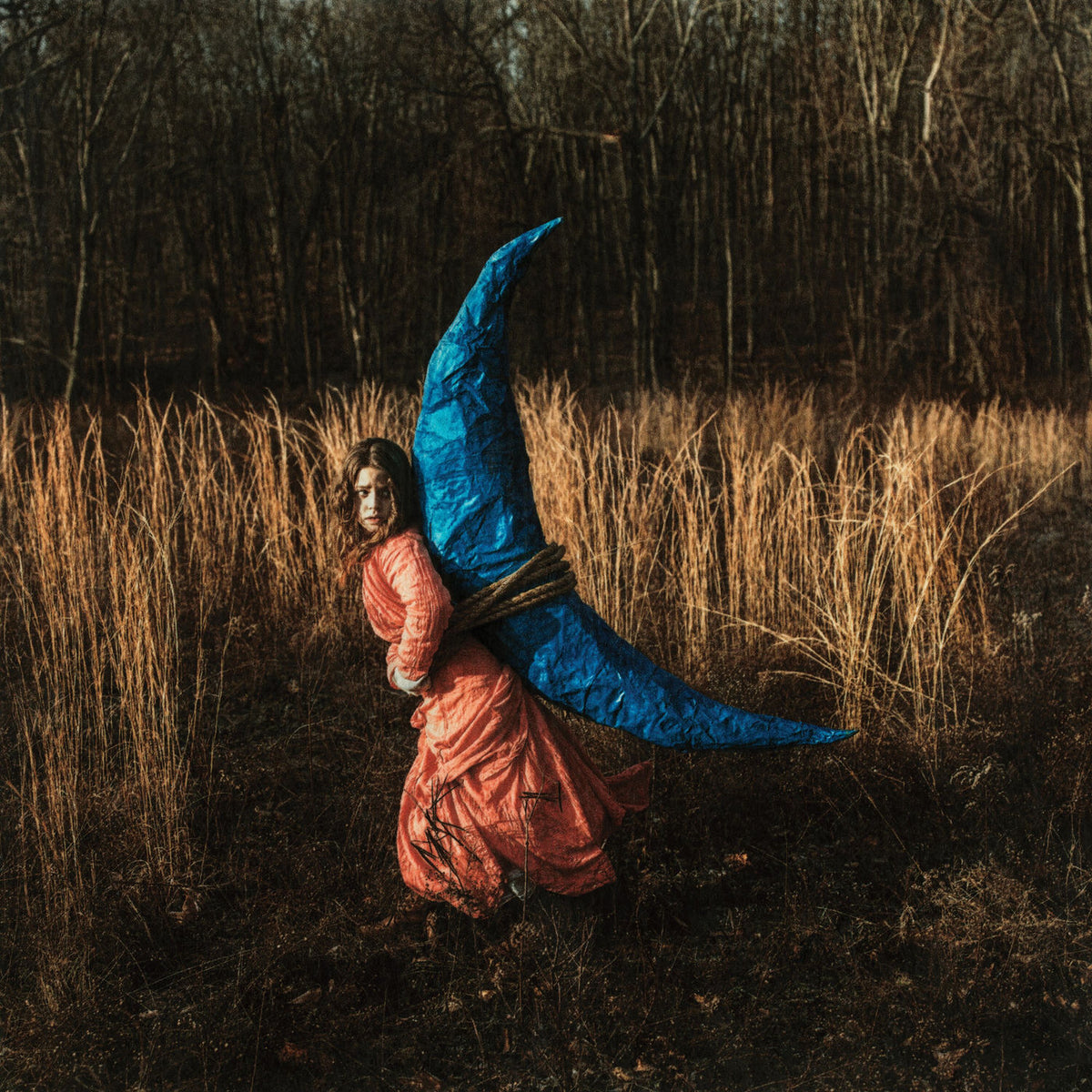 Holly Miranda – Mutual Horse vinyl cover