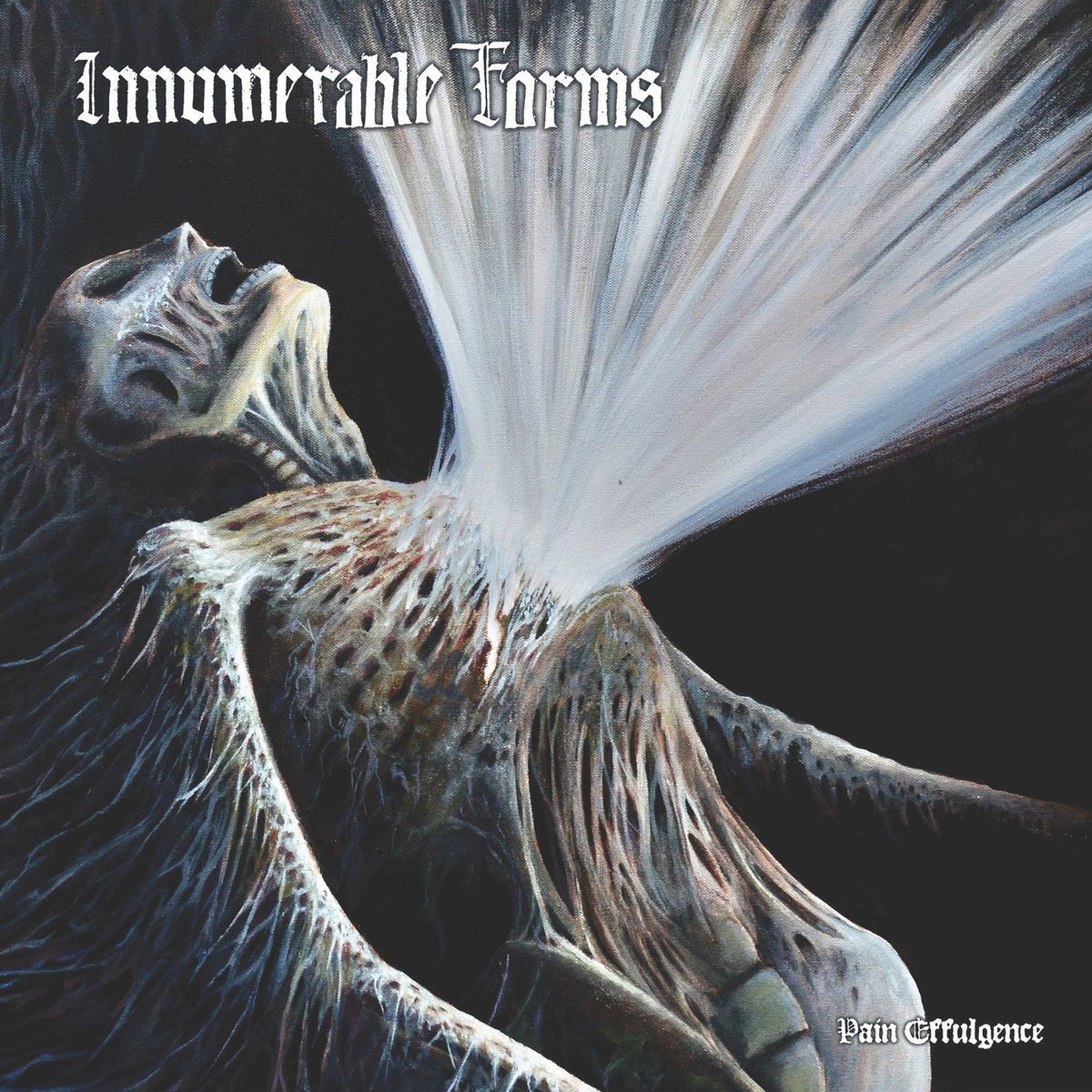 Innumerable Forms – Pain Effulgence vinyl record cover