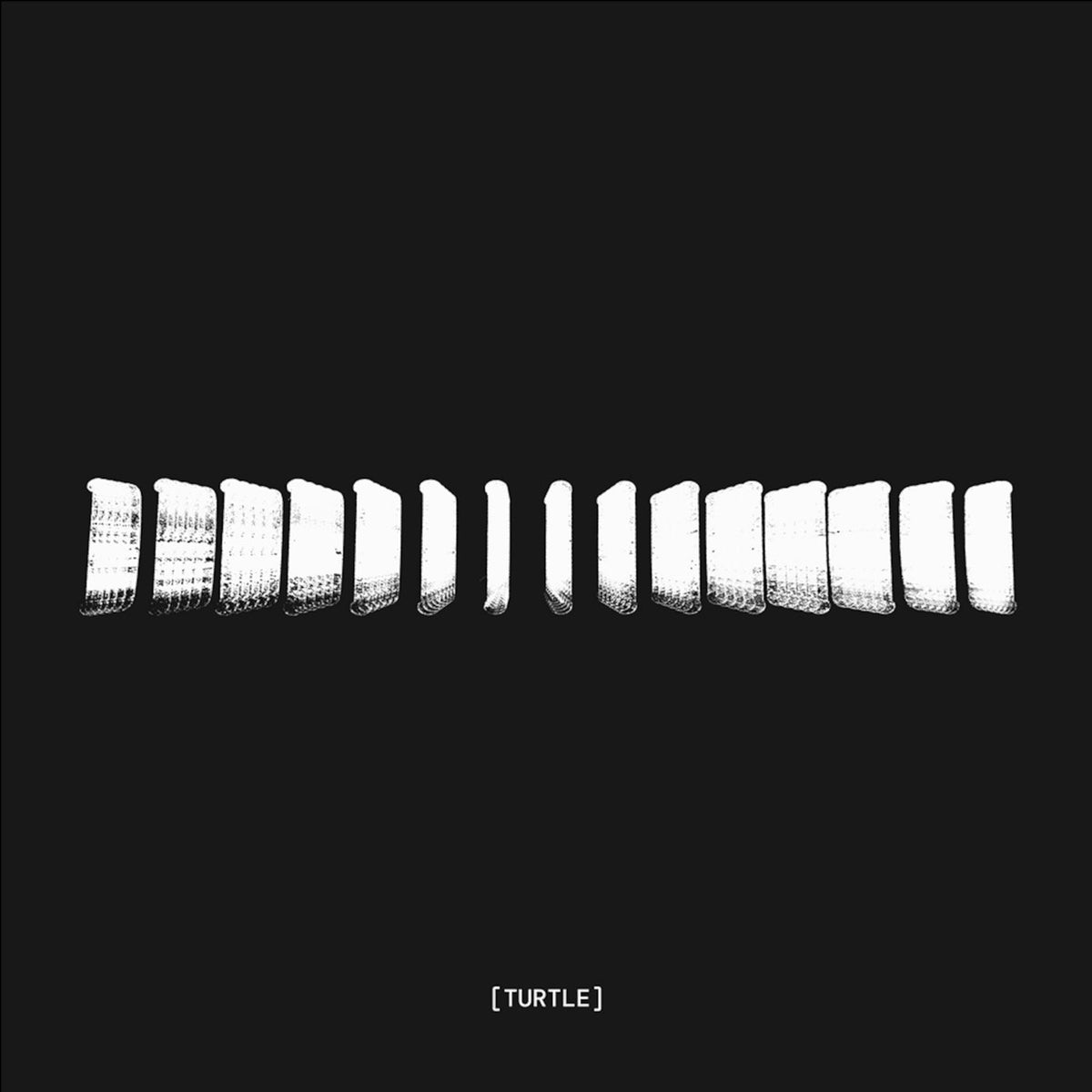Turtle – Landmass vinyl record cover