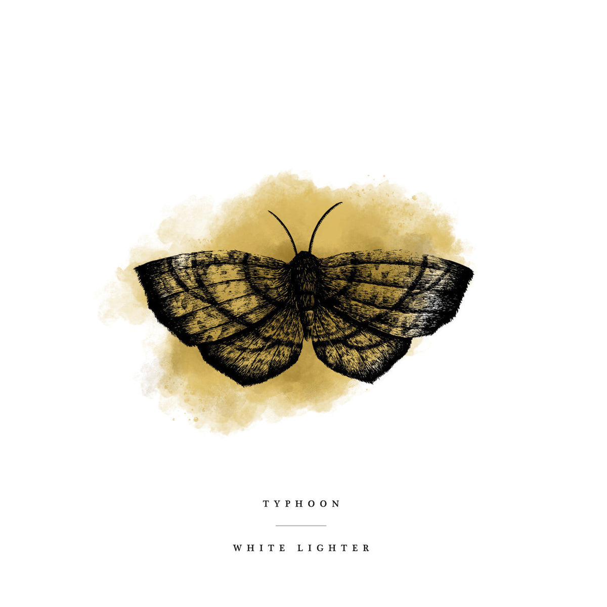 Typhoon – White Lighter vinyl record cover