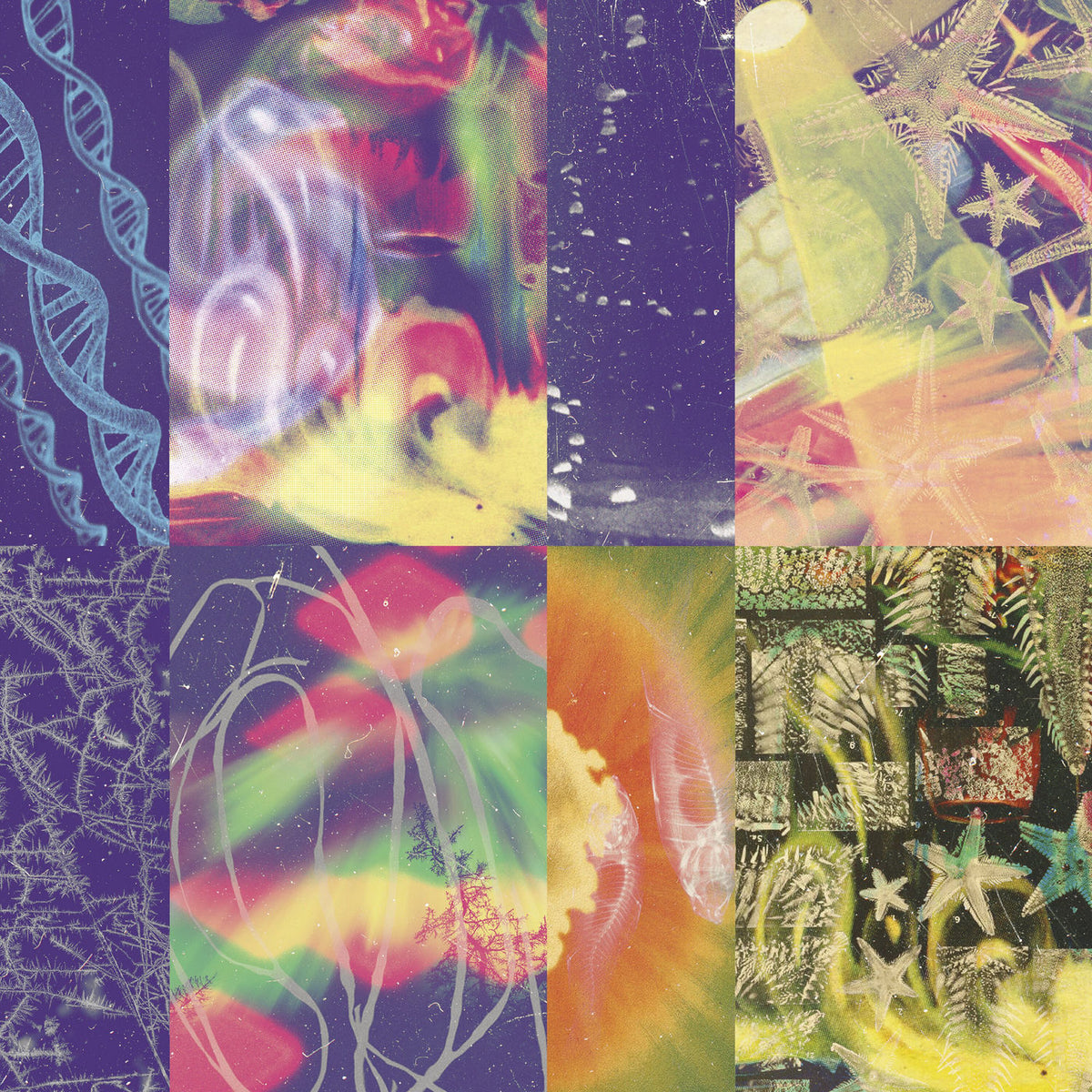Nap Eyes – The Neon Gate vinyl record cover