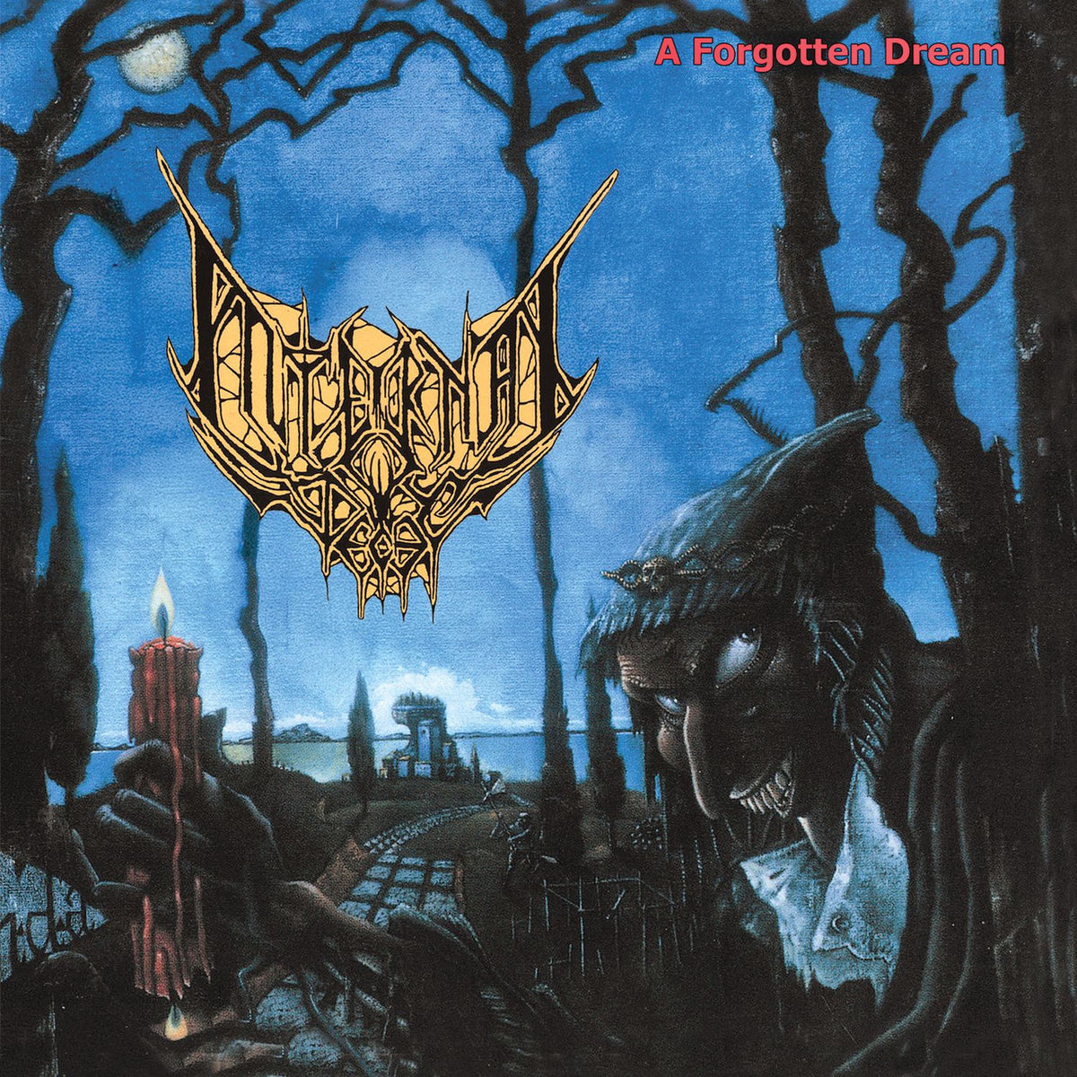 Internal Decay – A Forgotten Dream vinyl record cover