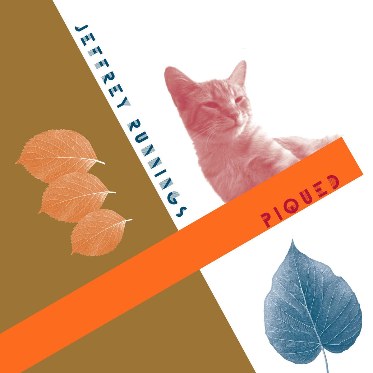 Jeffrey Runnings – Piqued vinyl cover