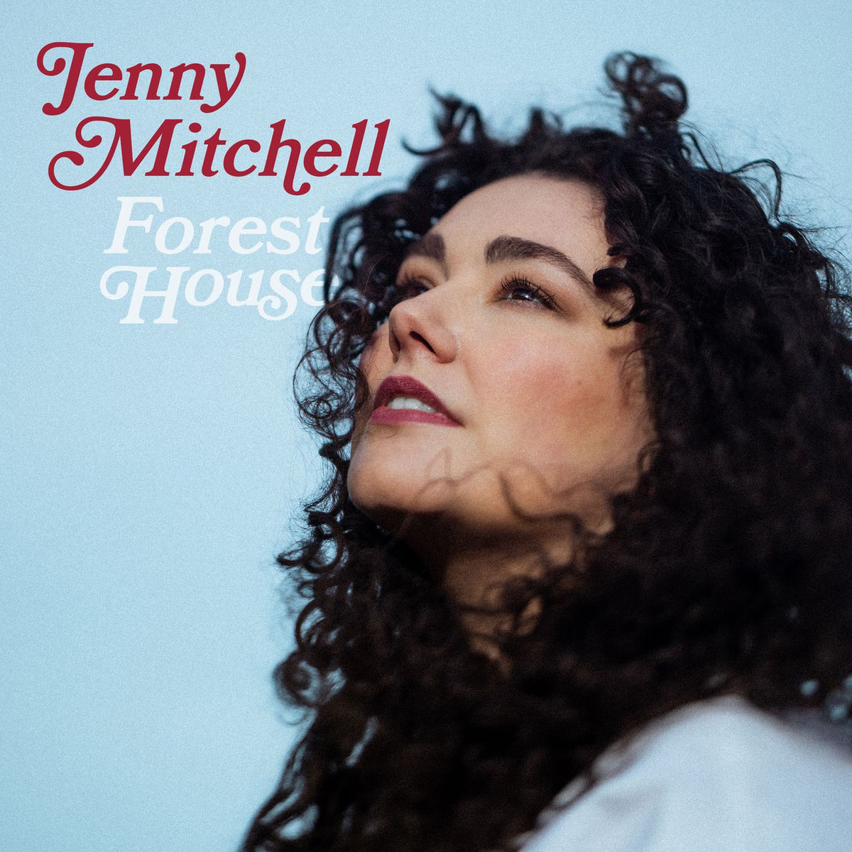 Jenny Mitchell – Forest House vinyl record cover