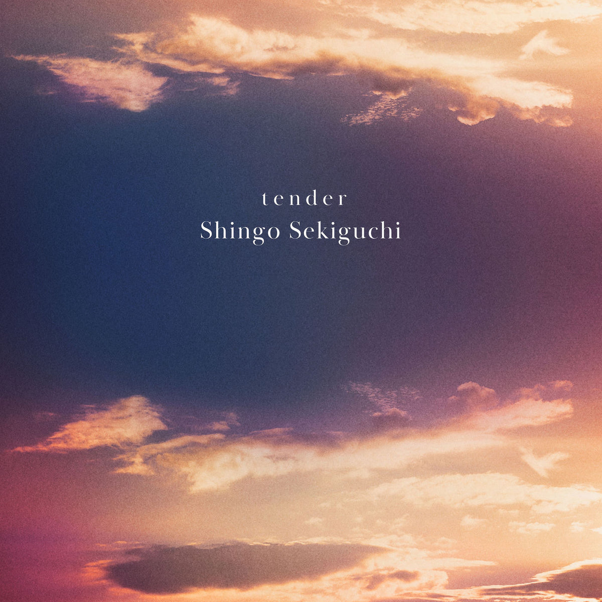 Shingo Sekiguchi – Tender vinyl record cover