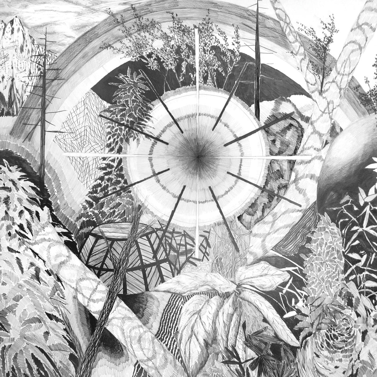 Thee Oh Sees – Dog Poison vinyl record cover