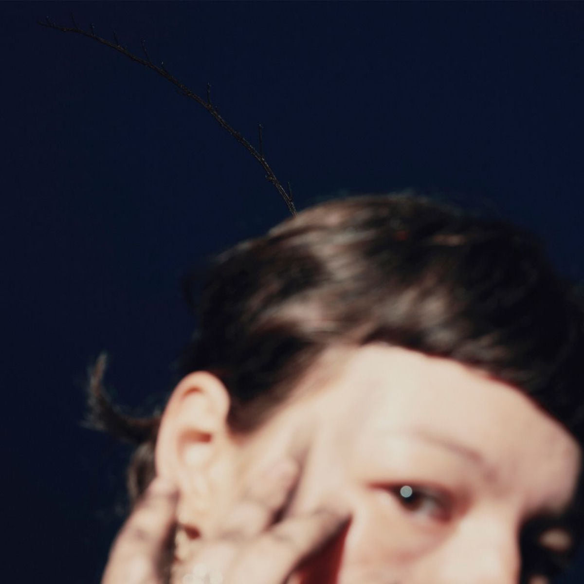 Regina Collage – Horizont vinyl record cover