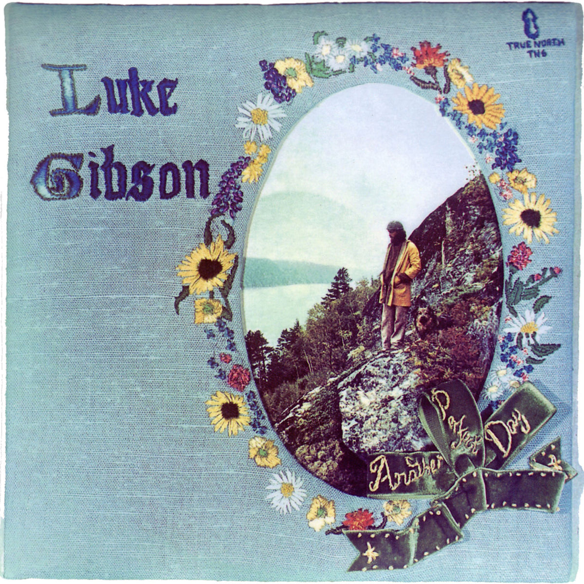 Luke Gibson – Another Perfect Day vinyl record cover