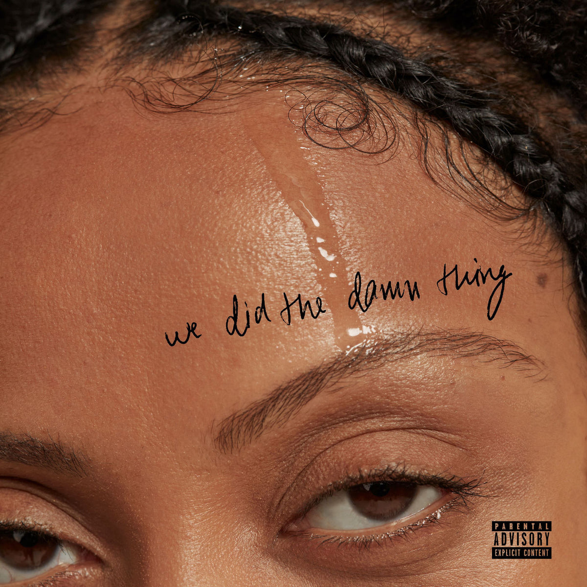 Naya Ali – We Did The Damn Thing vinyl record cover