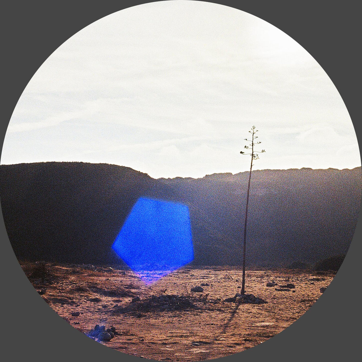 Jakob Seidensticker – After We're All Gone EP vinyl record cover