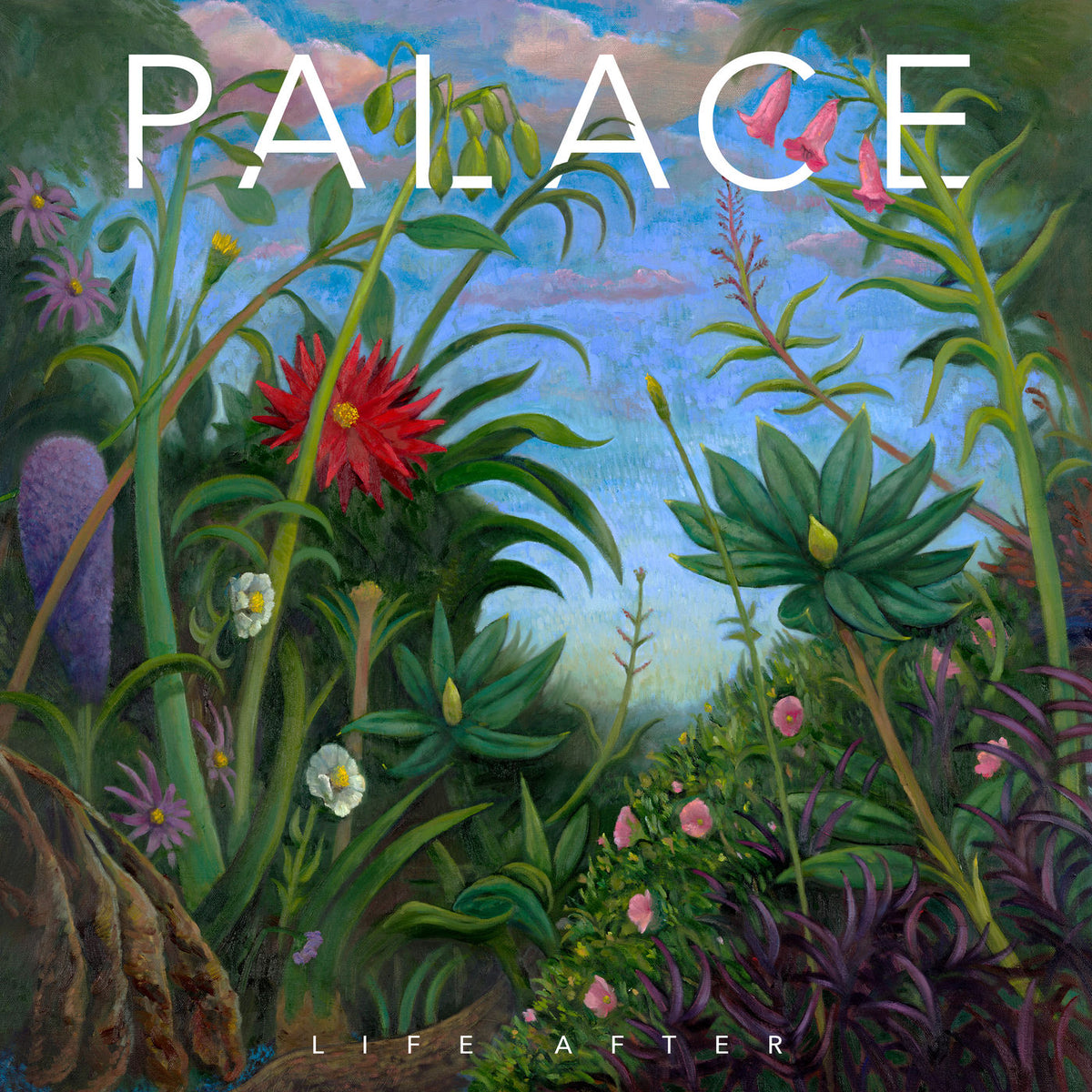 Palace – Life After vinyl record cover