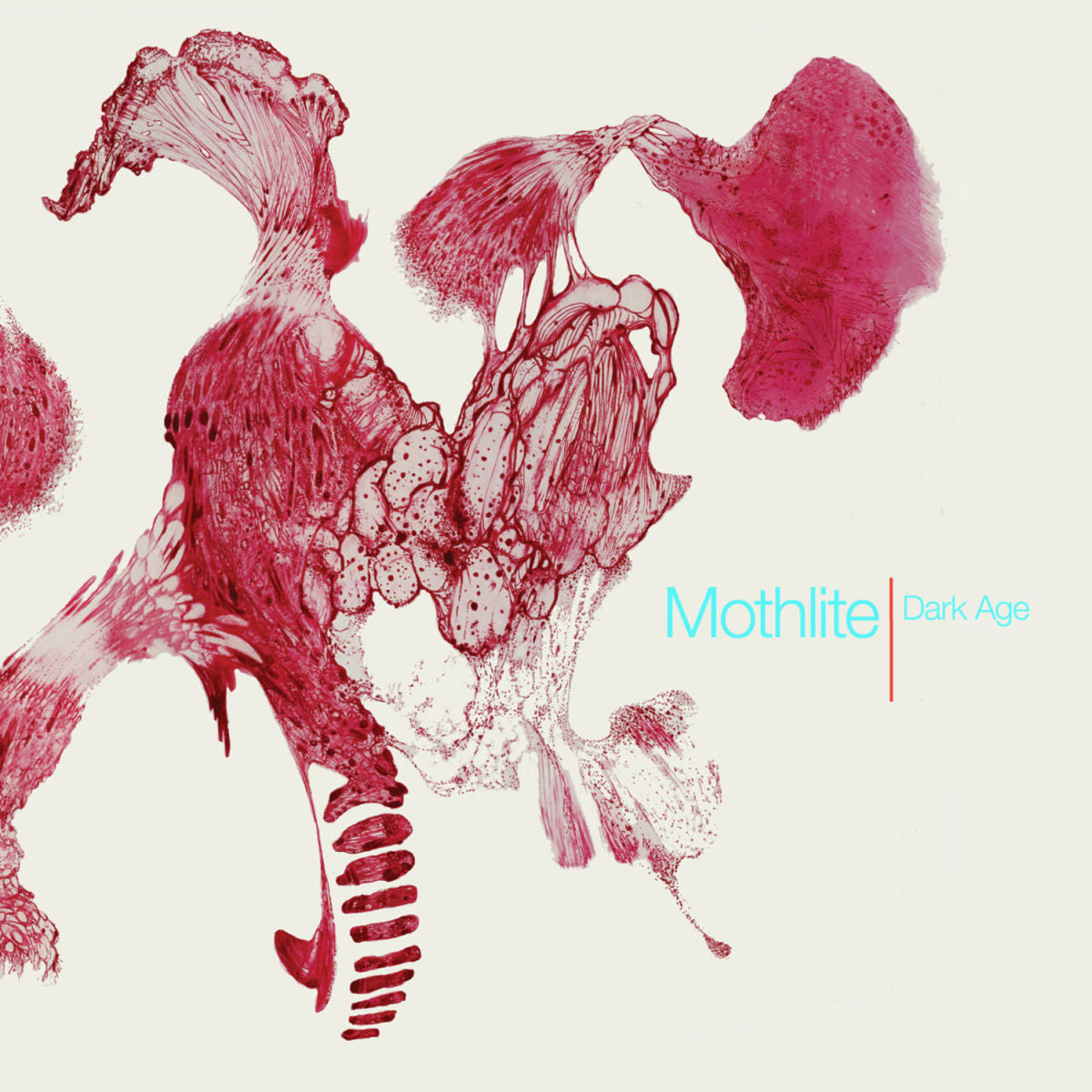 Mothlite – Dark Age vinyl record cover