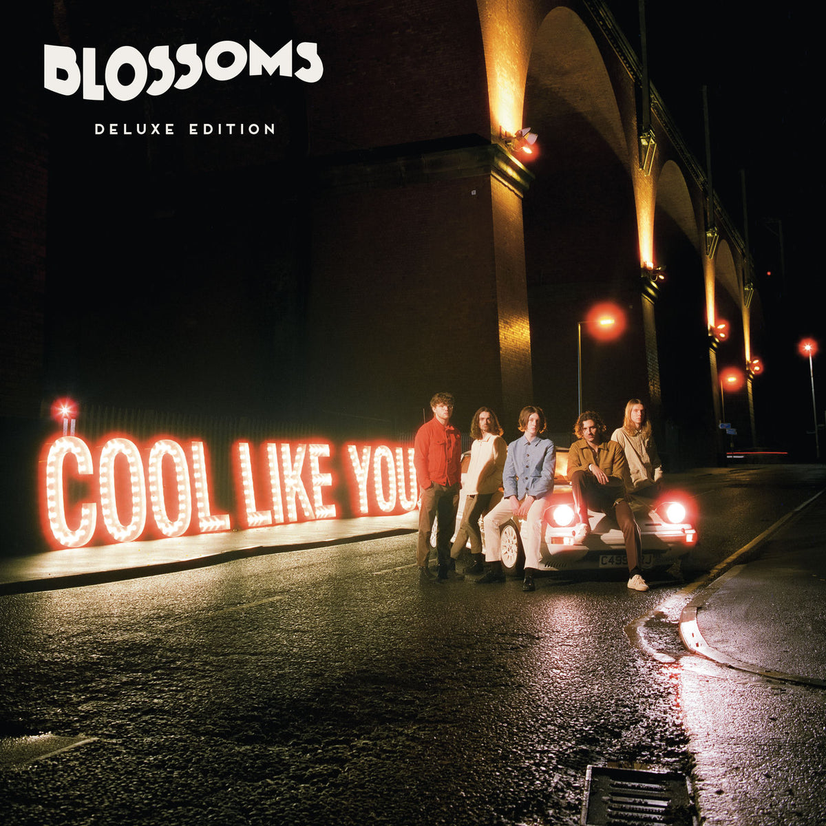 Blossoms – Cool Like You vinyl record cover