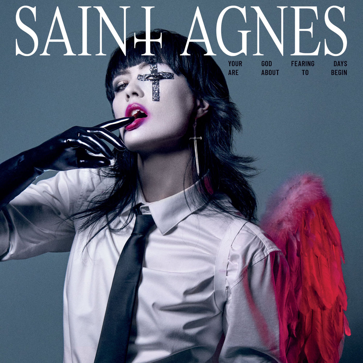 Saint Agnes – Your God Fearing Days Are About to Begin vinyl record cover