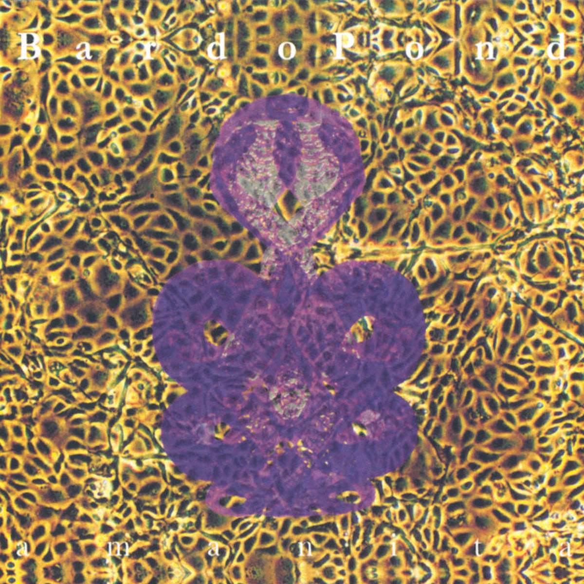 Bardo Pond – Amanita vinyl record cover