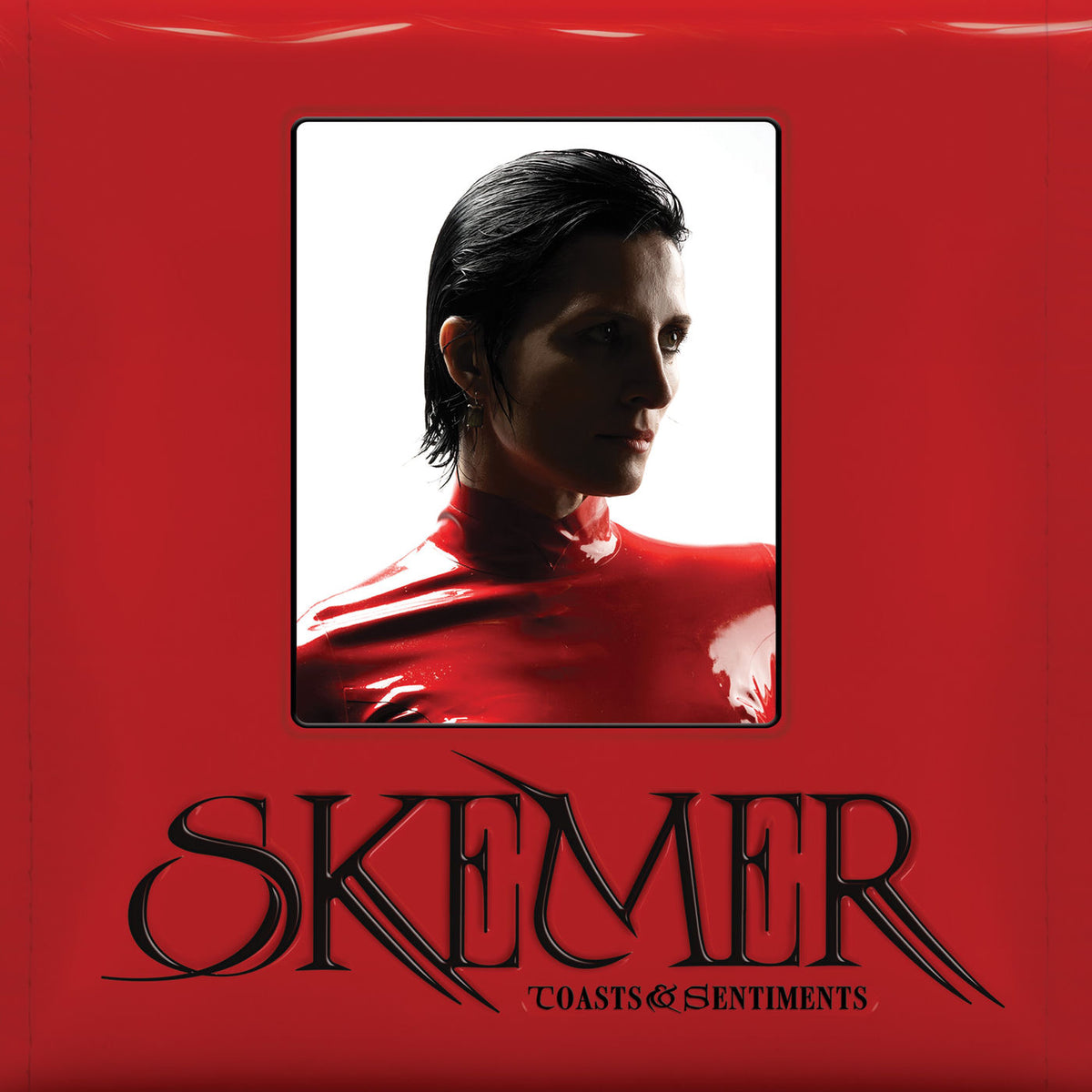 Skemer – Toasts & Sentiments vinyl cover