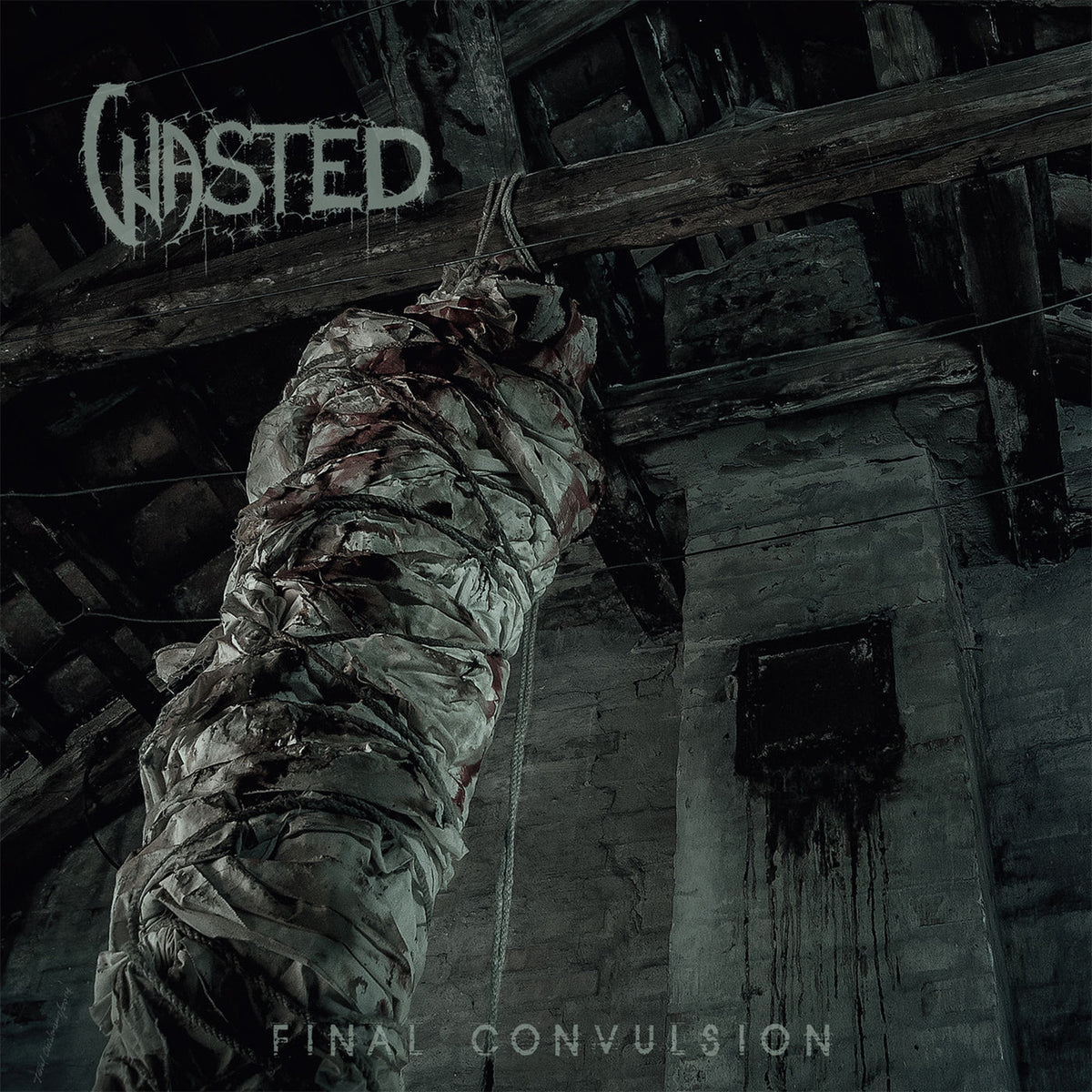 Wasted – Final Convulsion vinyl record cover