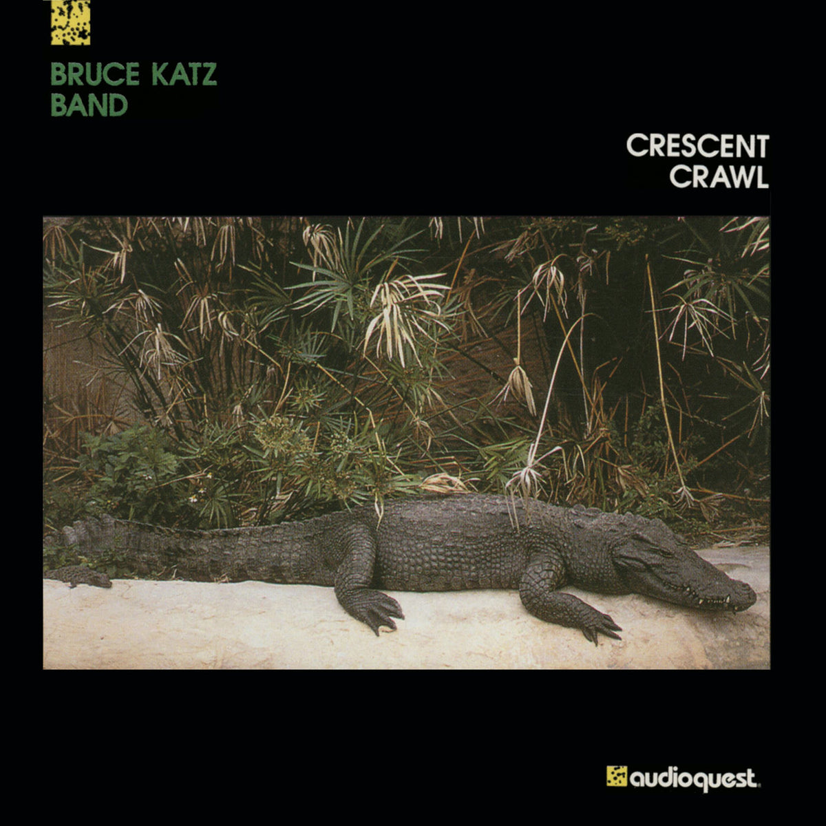 Bruce Katz Band – Crescent Crawl vinyl record cover