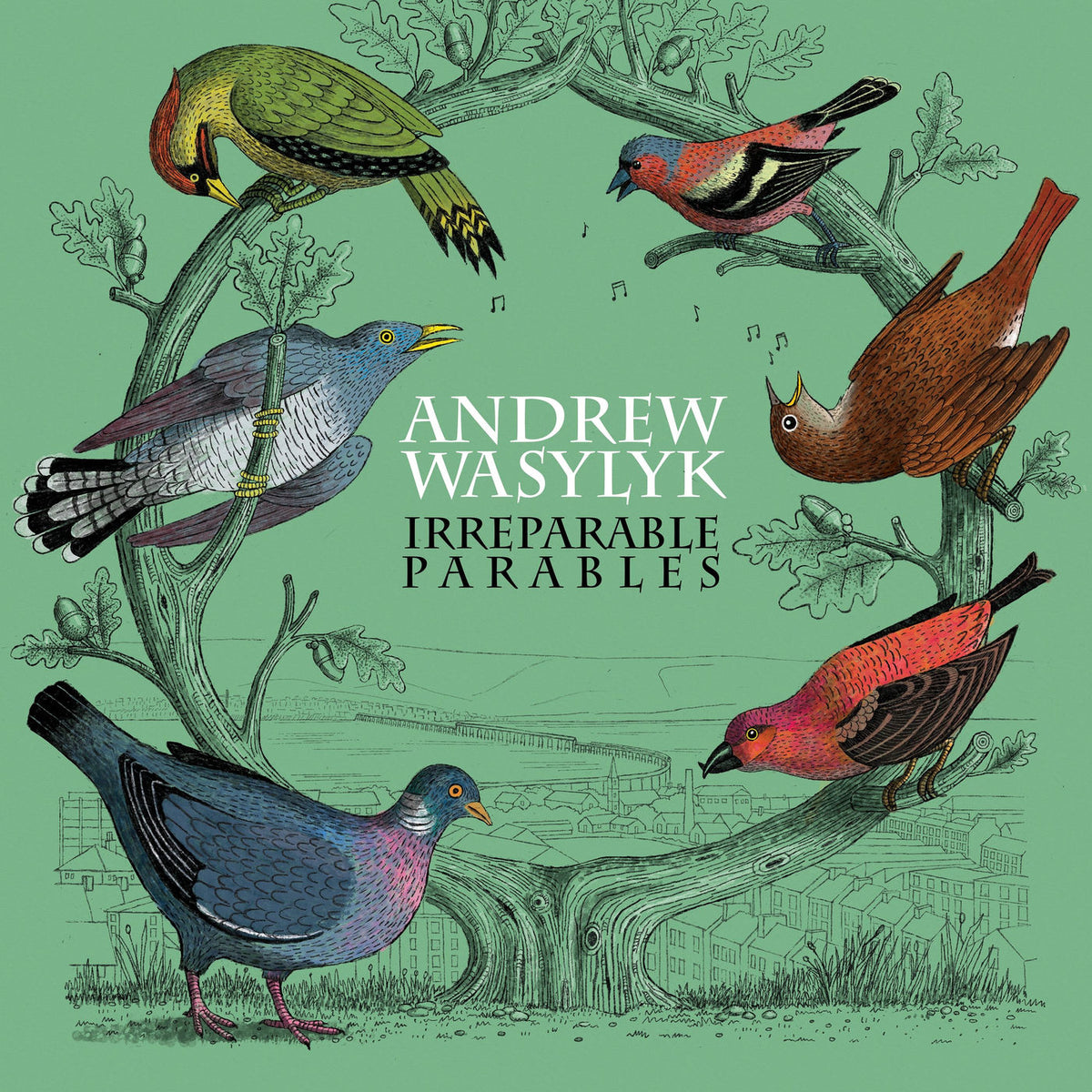 Andrew Wasylyk – Irreparable Parables vinyl record cover