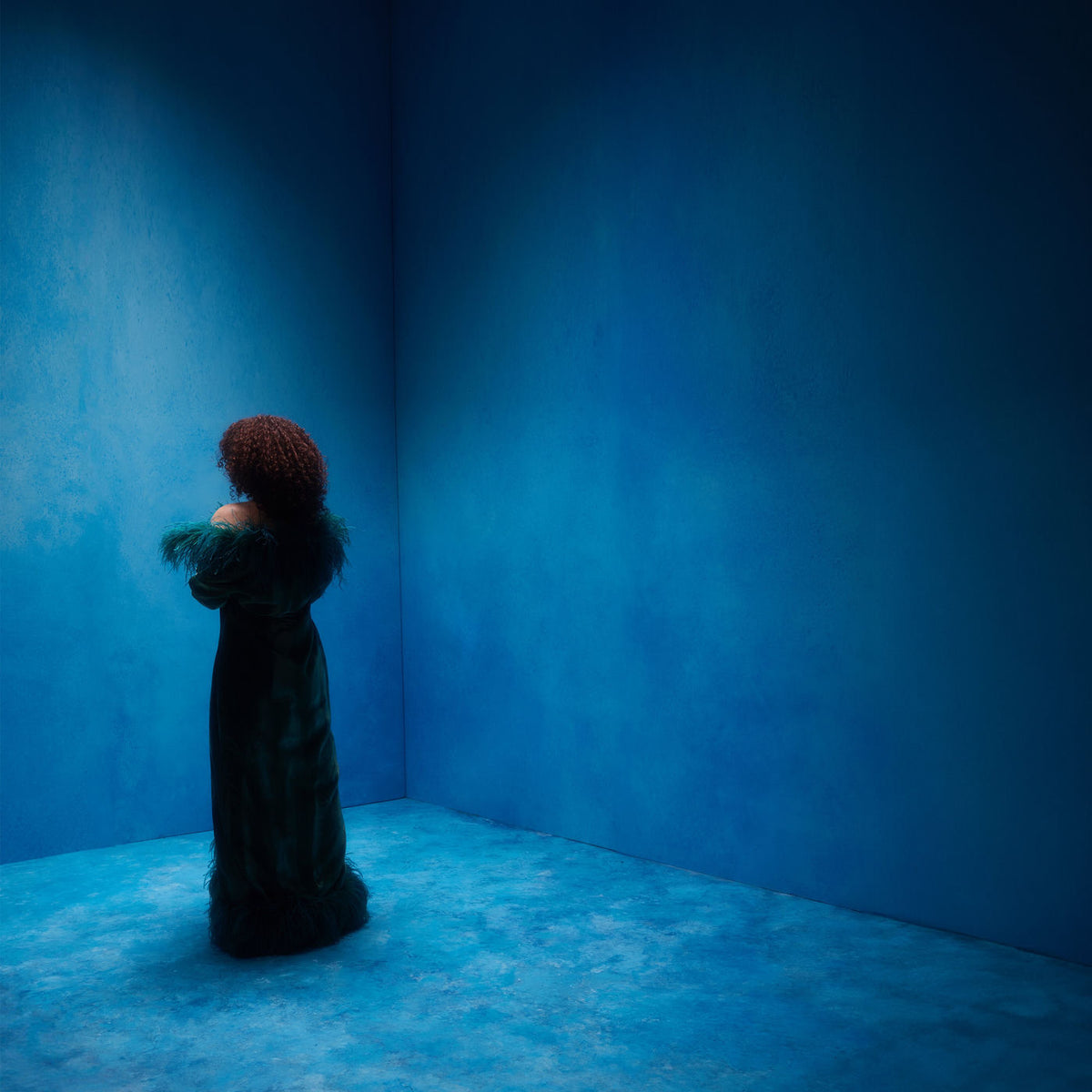 Enchantée Julia – Onze vinyl record cover