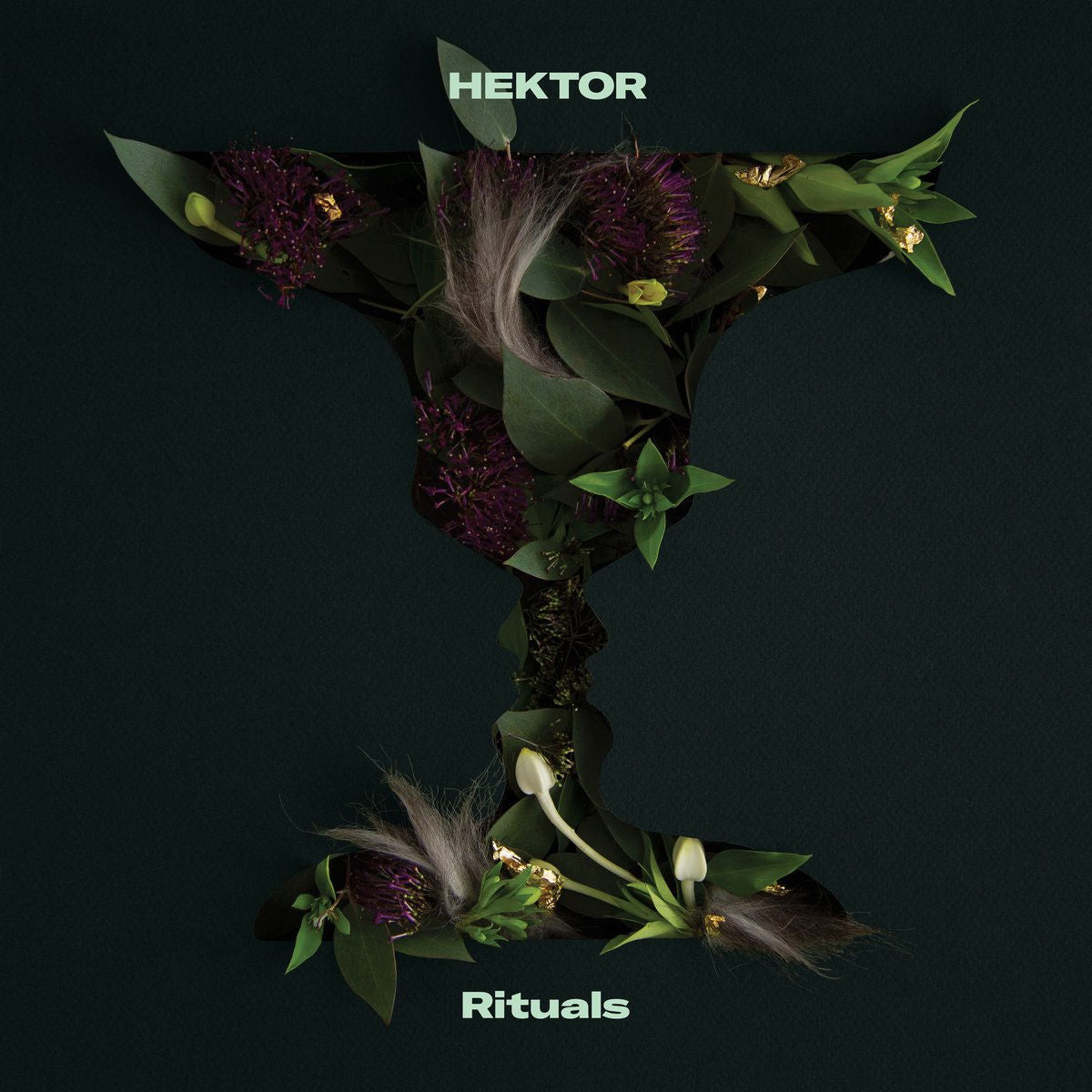 HEKTOR – Rituals — record image 1