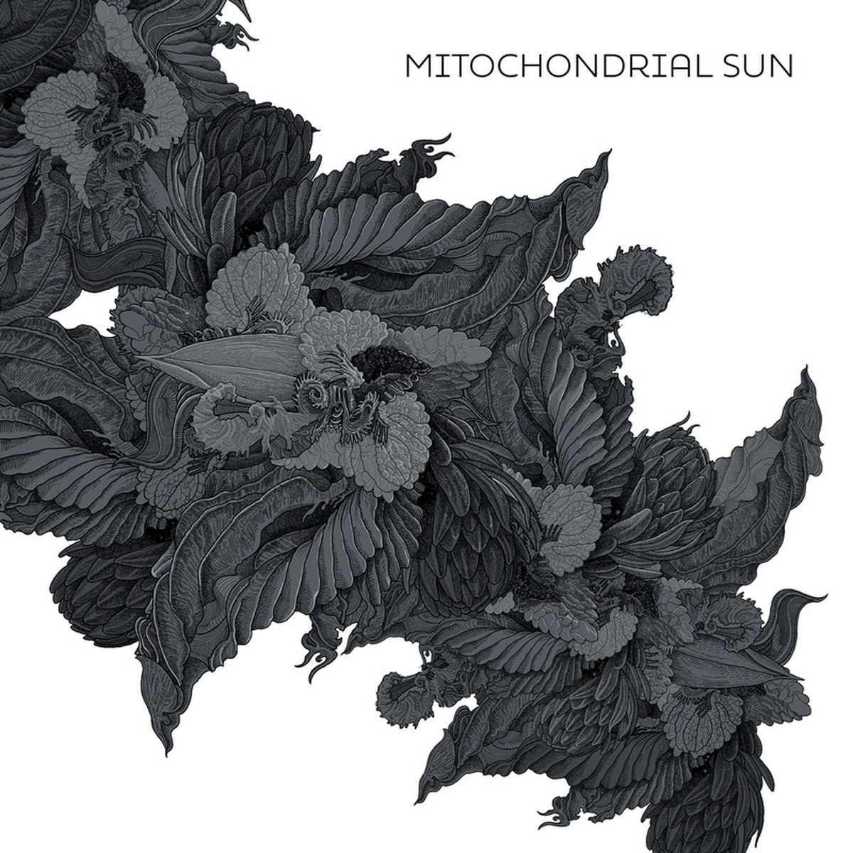 Mitochondrial Sun – Mitochondrial Sun vinyl record cover