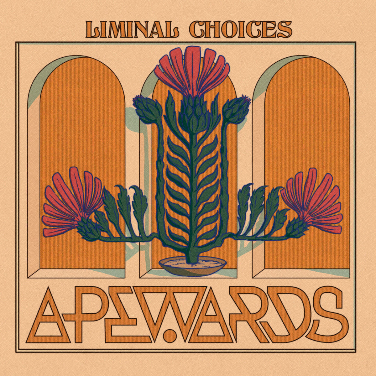 Apewards – Liminal Choices vinyl record cover