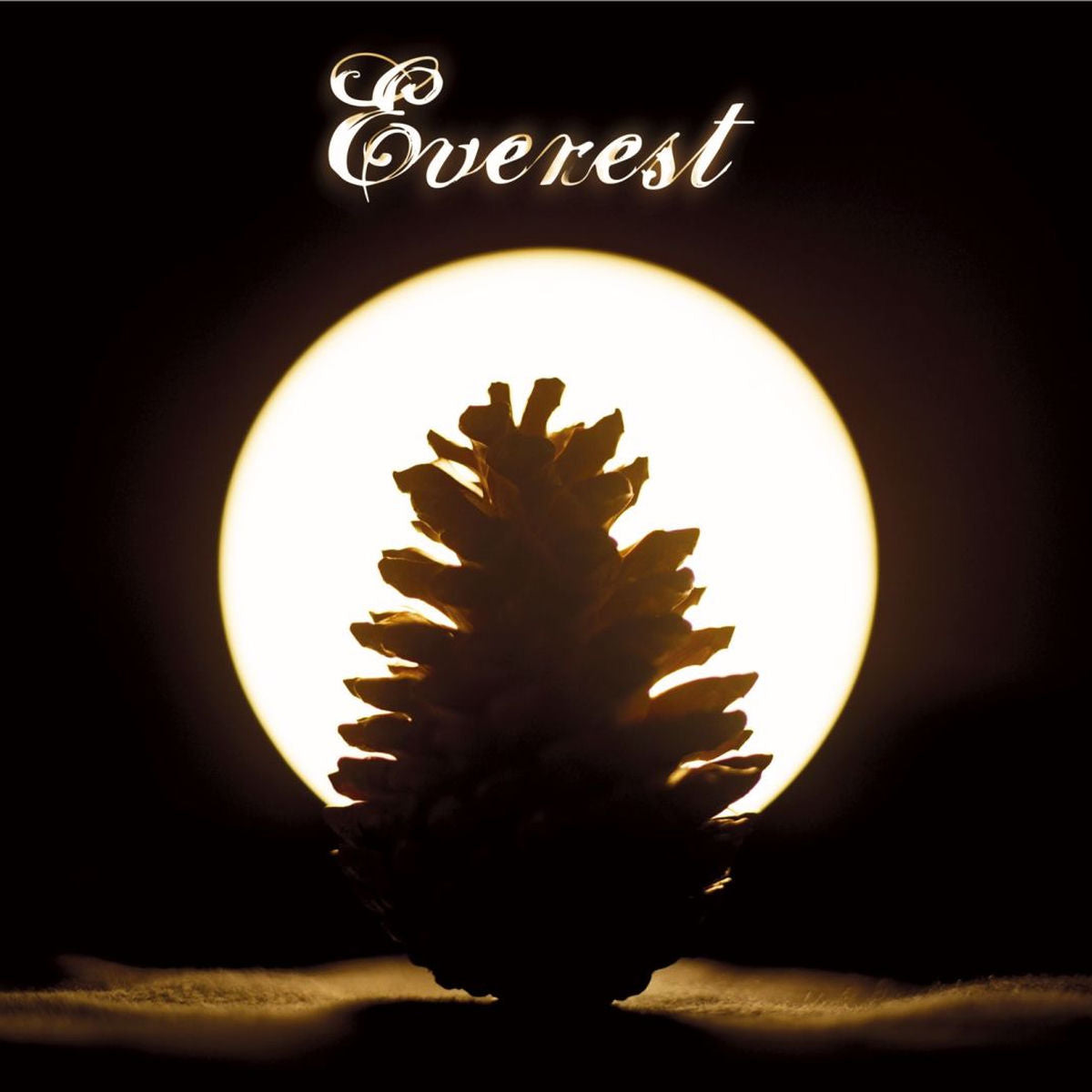 Everest – Ghost Notes vinyl record cover