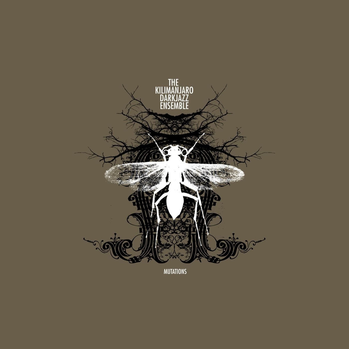 The Kilimanjaro Darkjazz Ensemble – Mutations vinyl cover